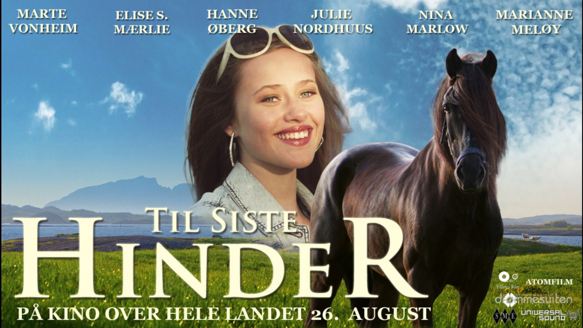 Til siste hinder