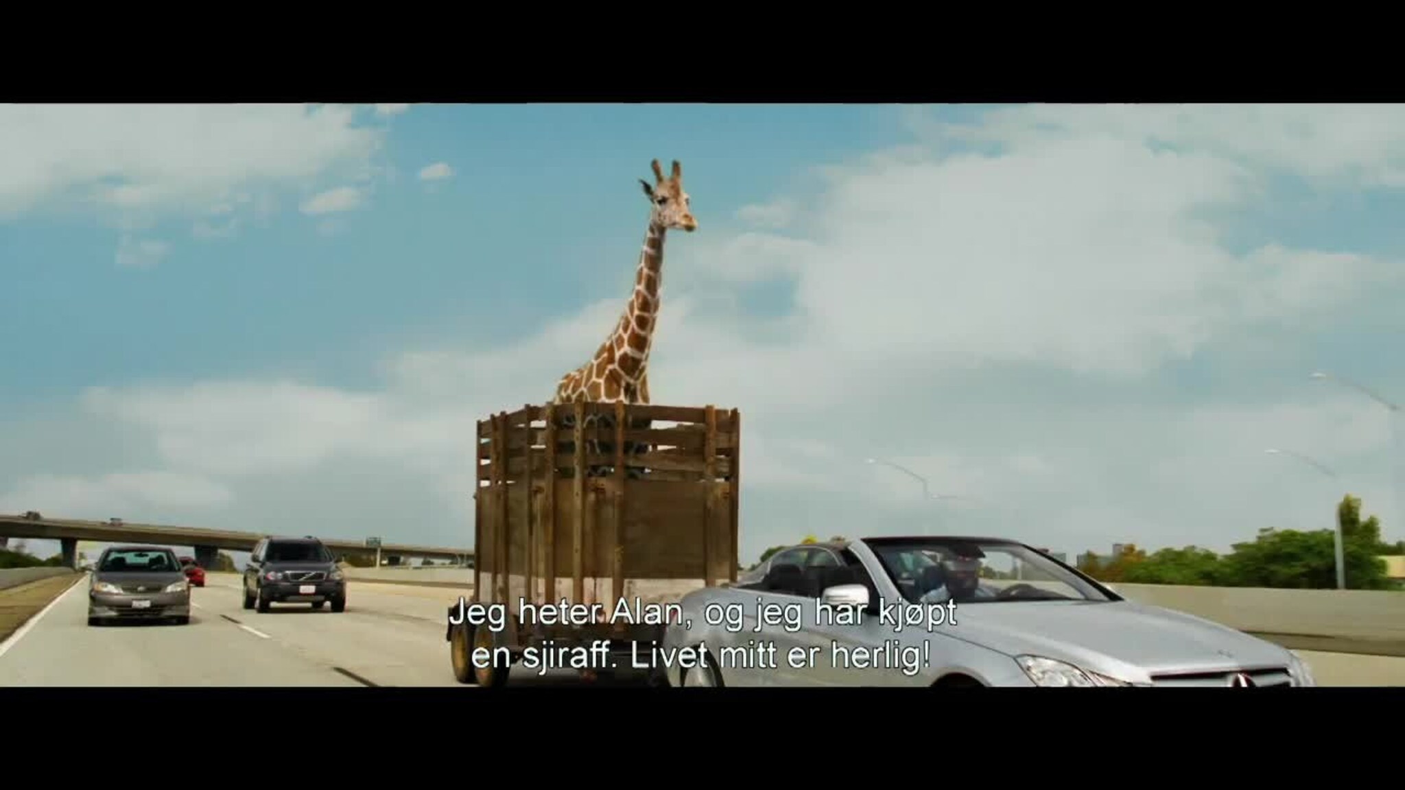 "The Hangover - Part III"