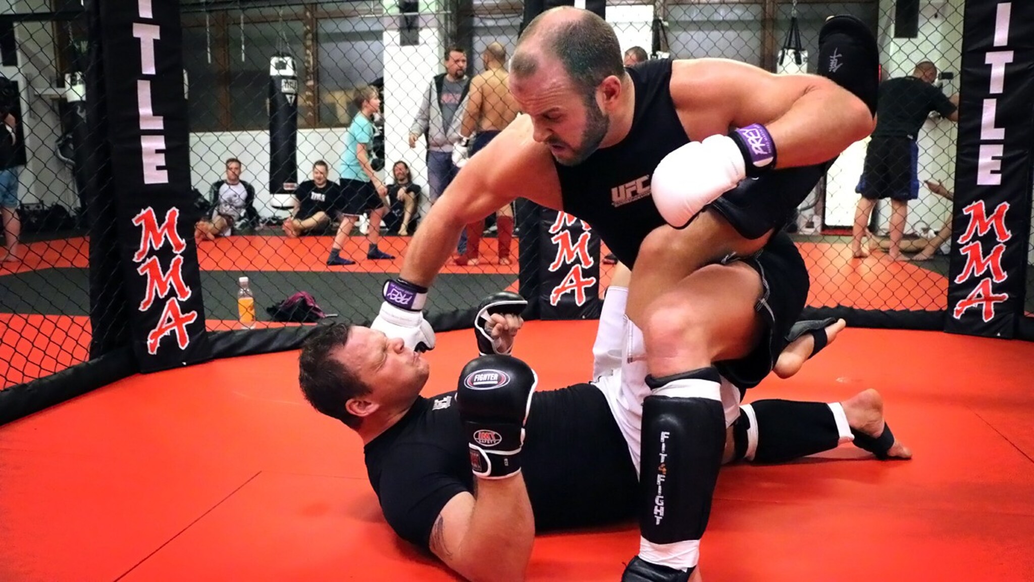 Vil at dette skal bli lov i Norge