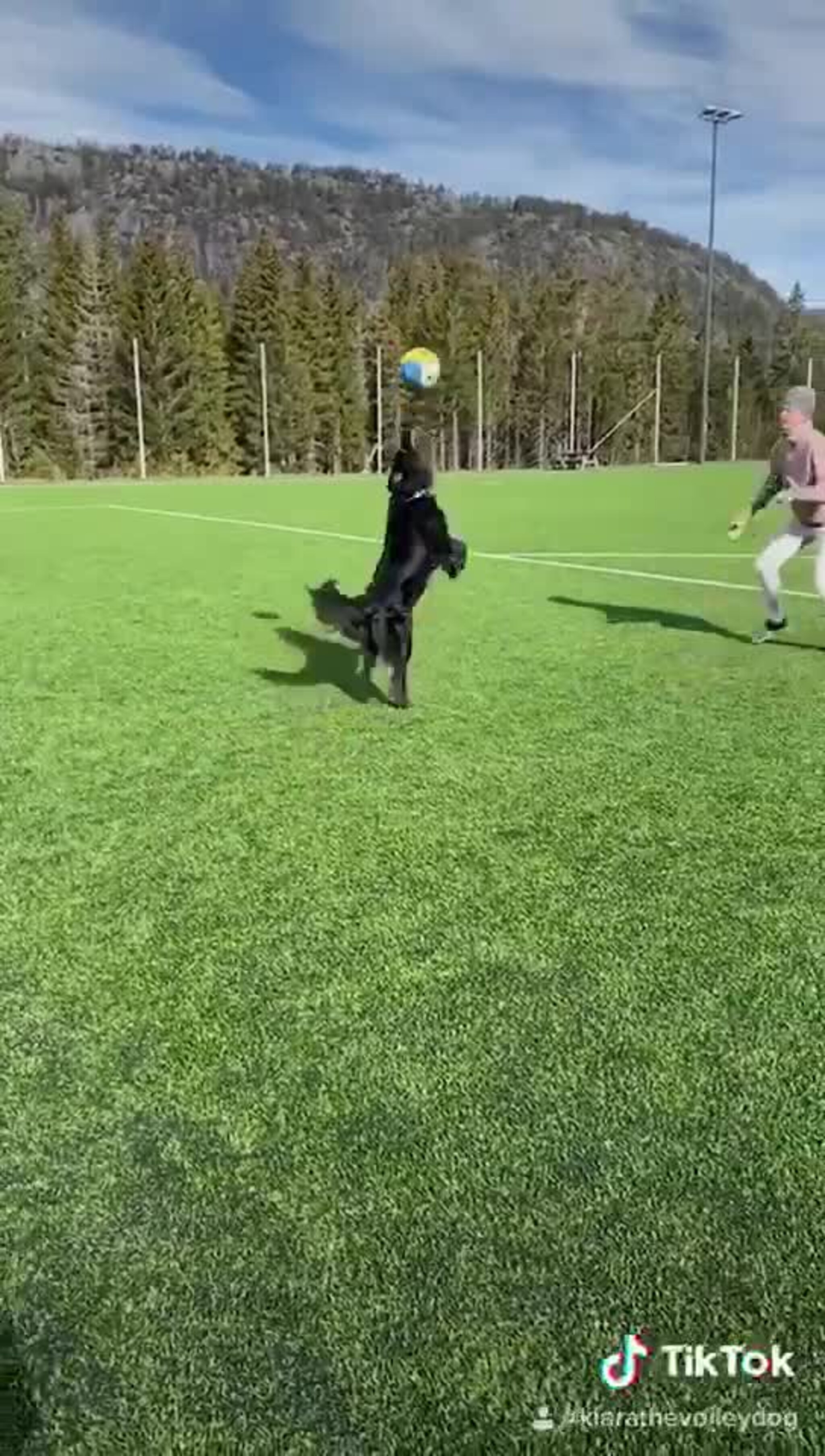 Emilie Olimstad og Mathias Berntsen spiller volleyball med Kiara