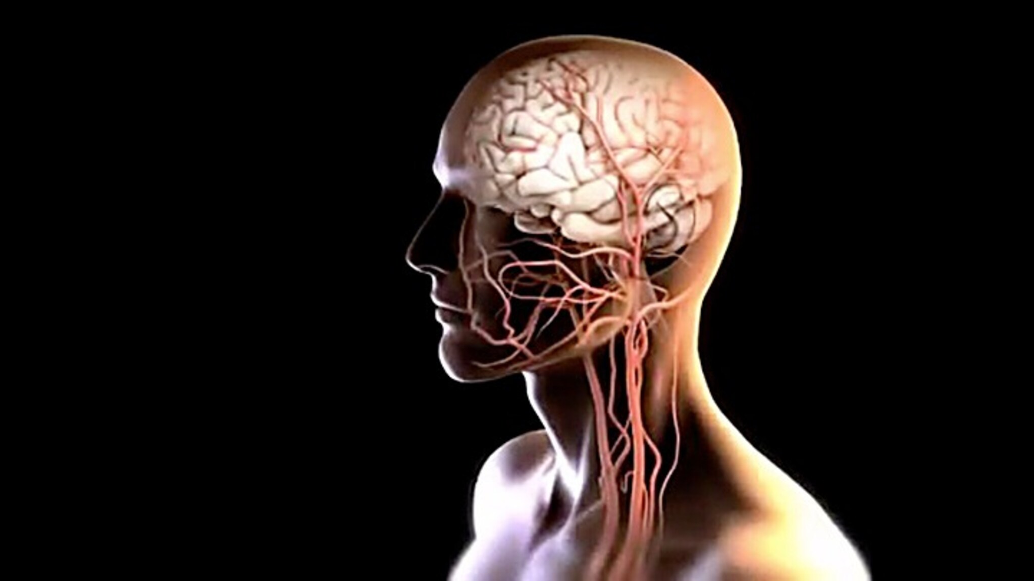 Video: Slik utføres trombefisking