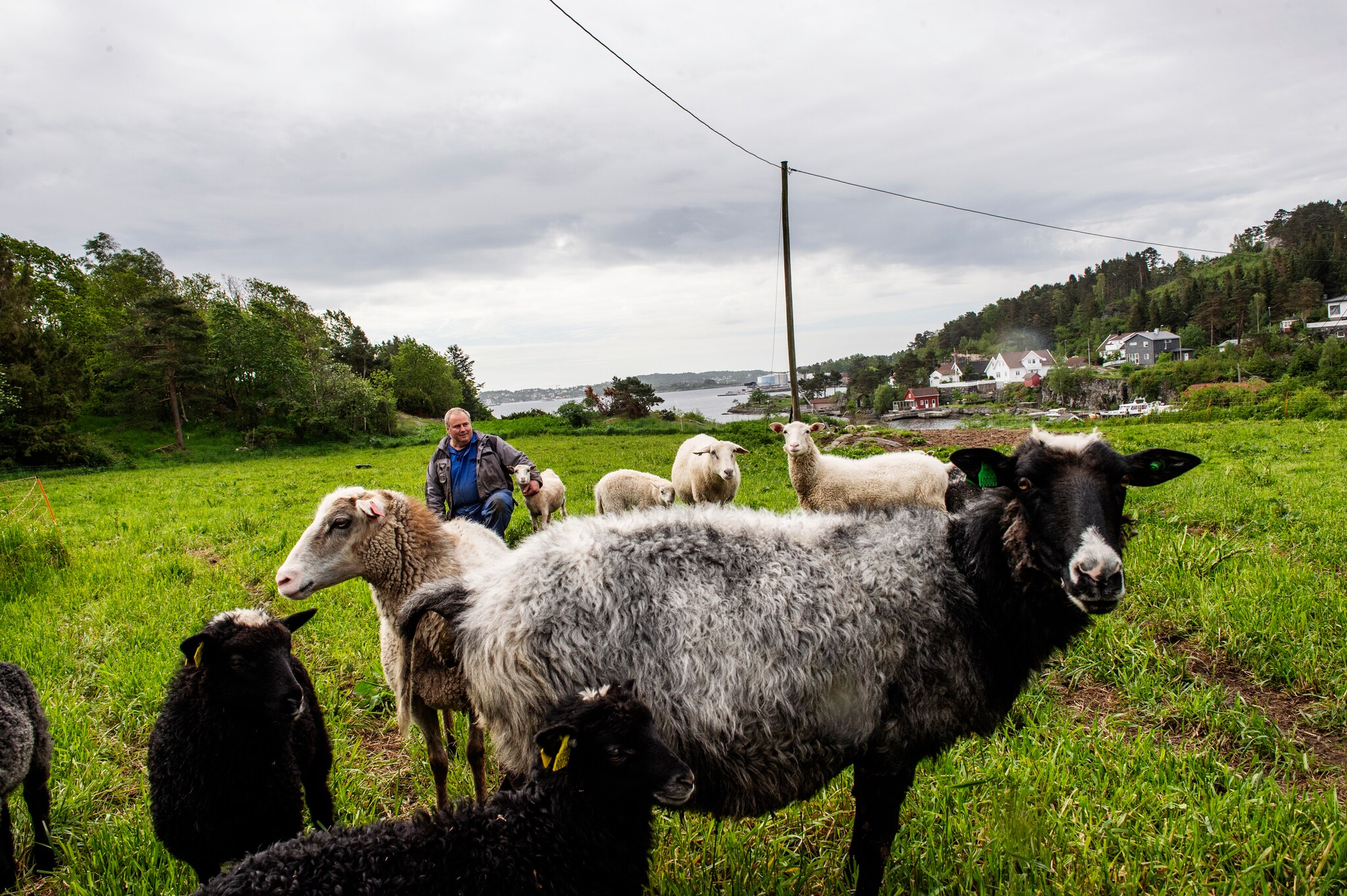Bonde Magne Thorvald Bakken