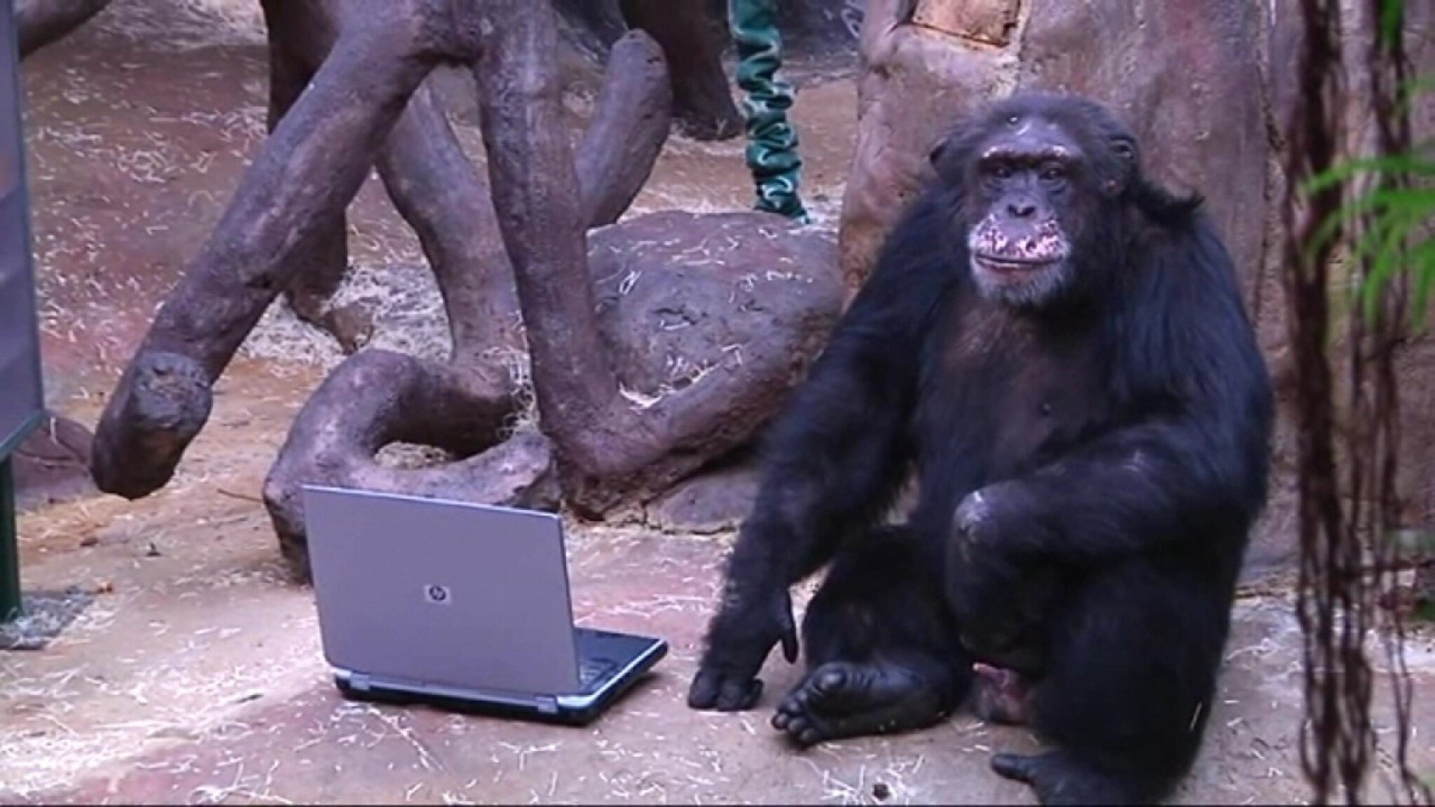 Julius leker med laptop