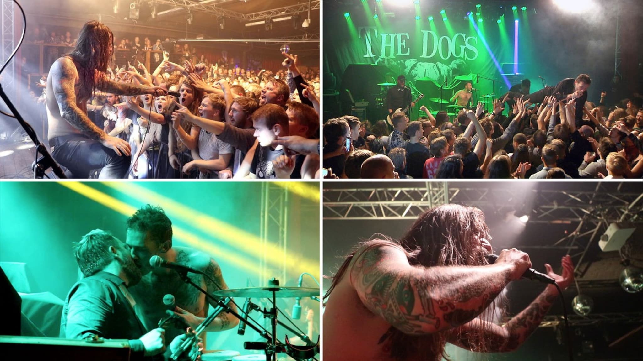 Kvelertak og The Dogs hyller Kristiansand