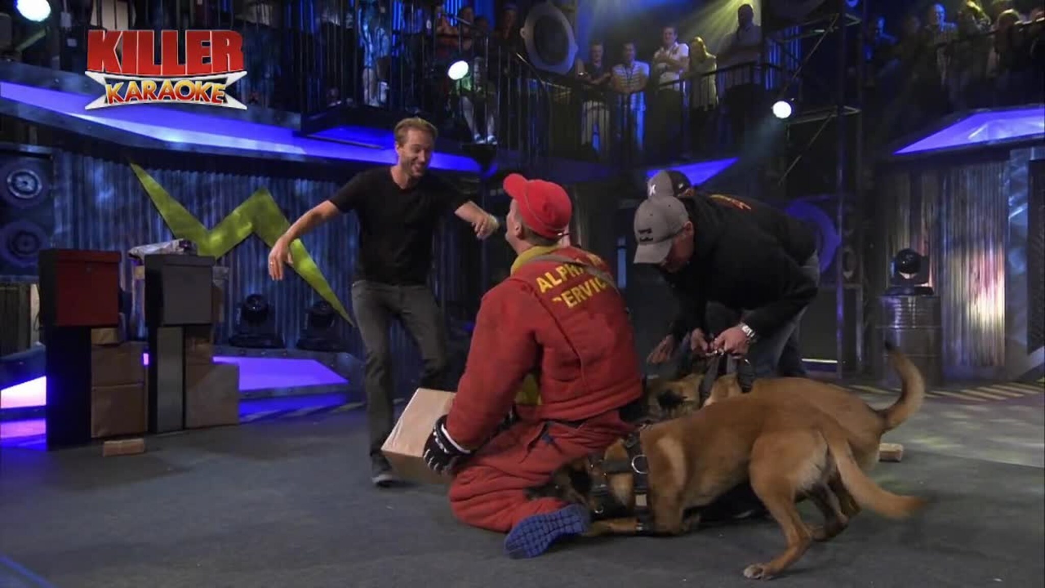 Kristoffer Hatlestad ble angrepet av hunder under TV-innspilling