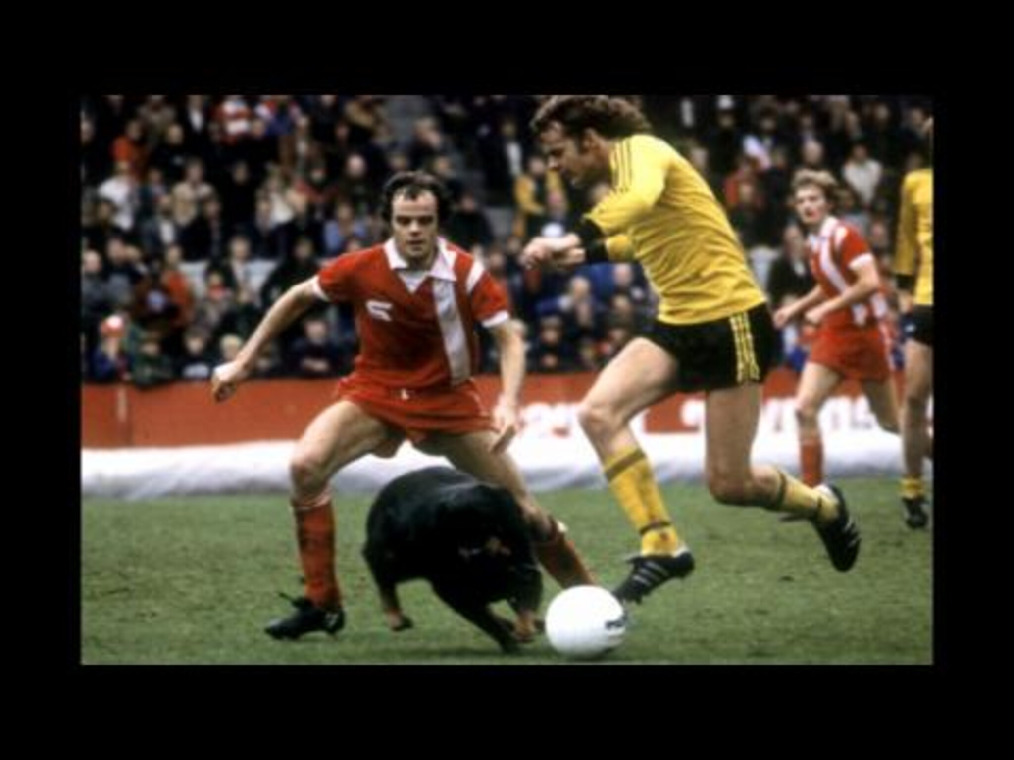 Håversens dommerquiz 10