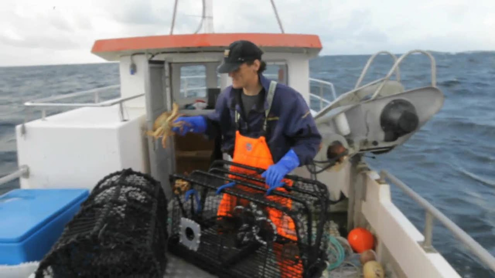 Bli med på hummertrekk