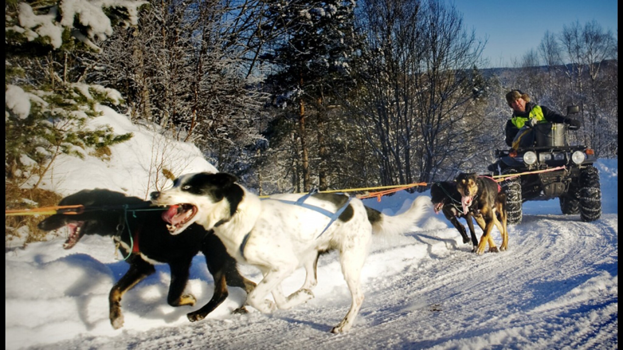 Kristiansander VM-debuterer