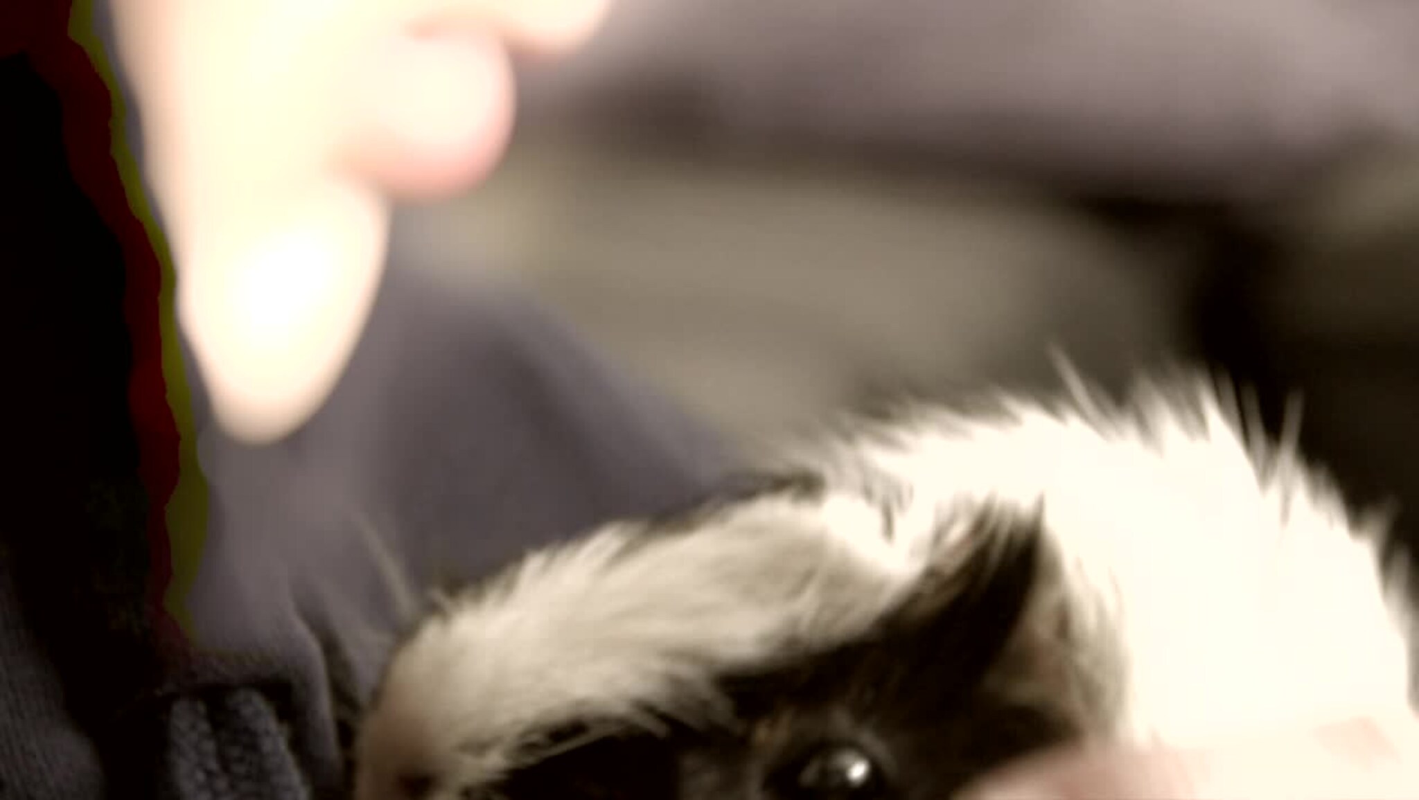 Idas frykt, håp og vilje