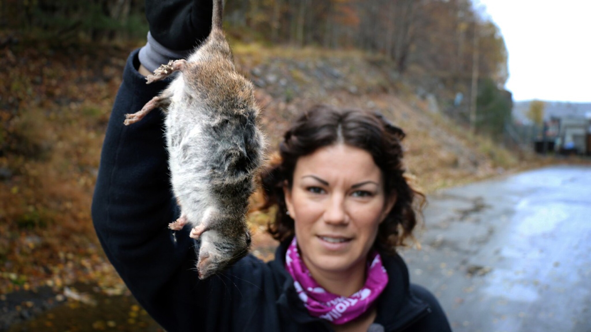 Her fanger hun kjemperotta