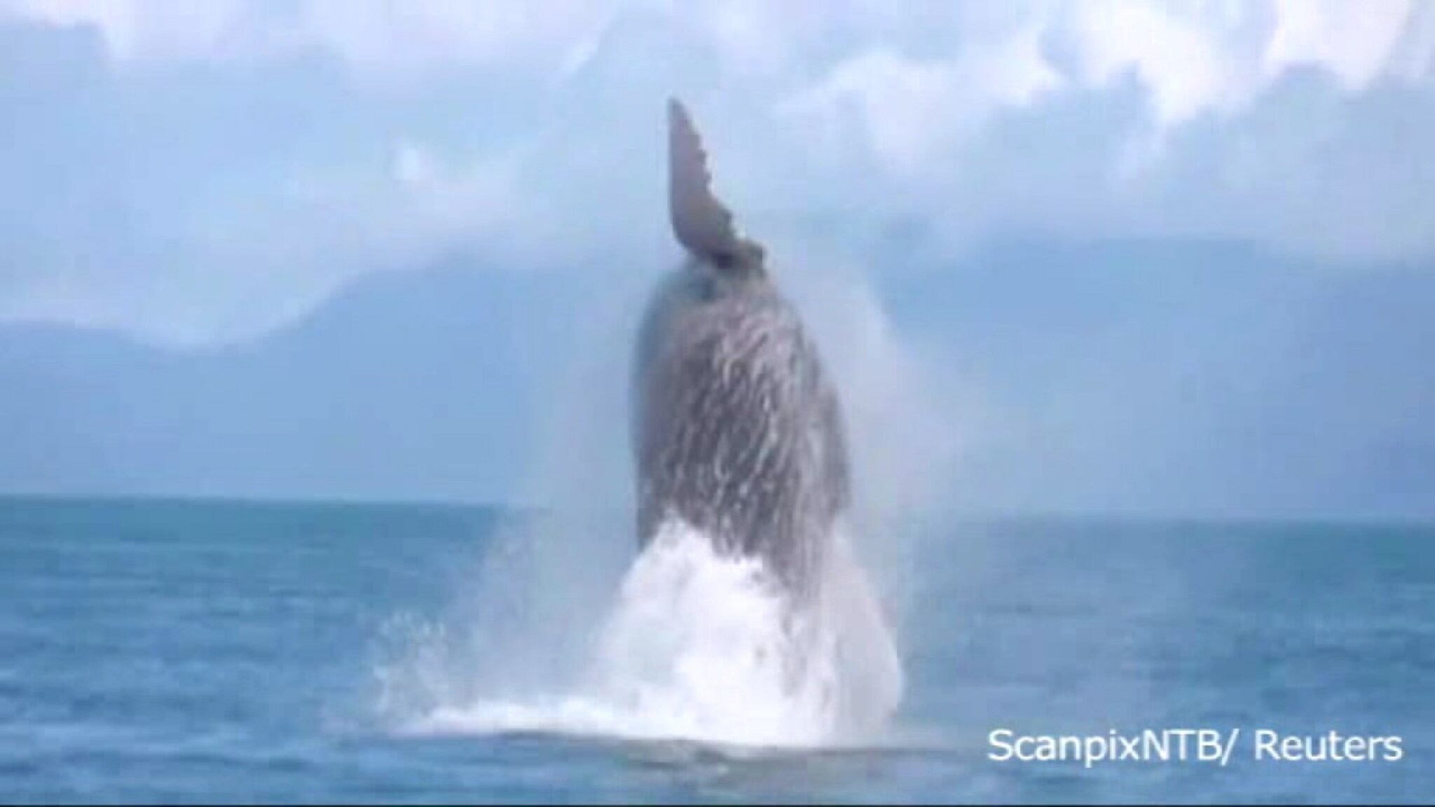 Se bilder fra showkampen Norge - Danmark: