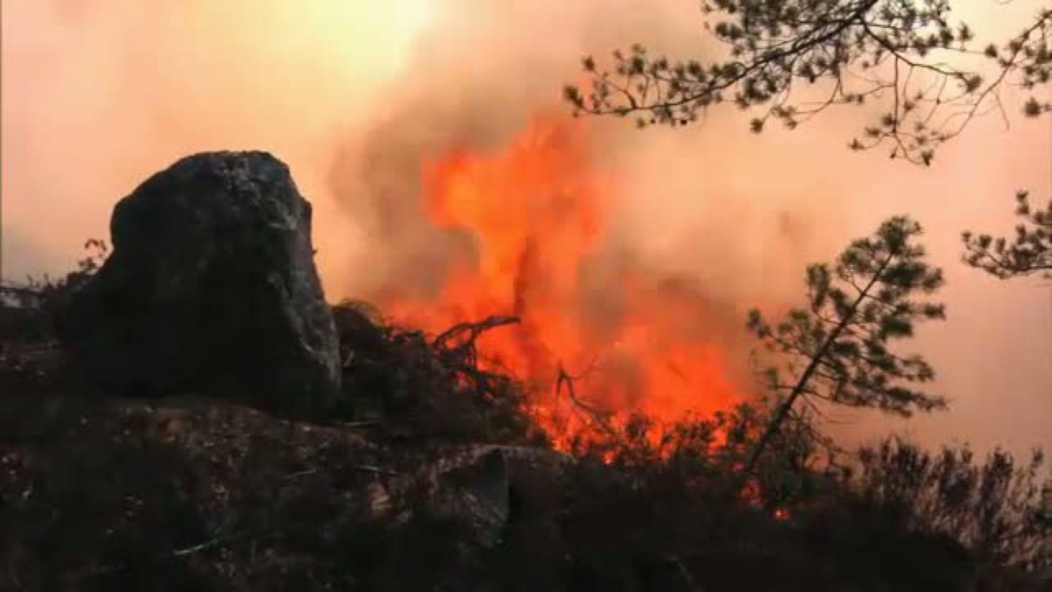 Her herjer skogbrannen