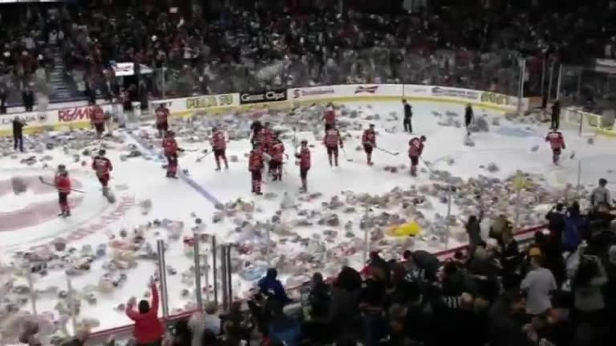 Her pepres hockeyspillerne med 25.000 kosebamser
