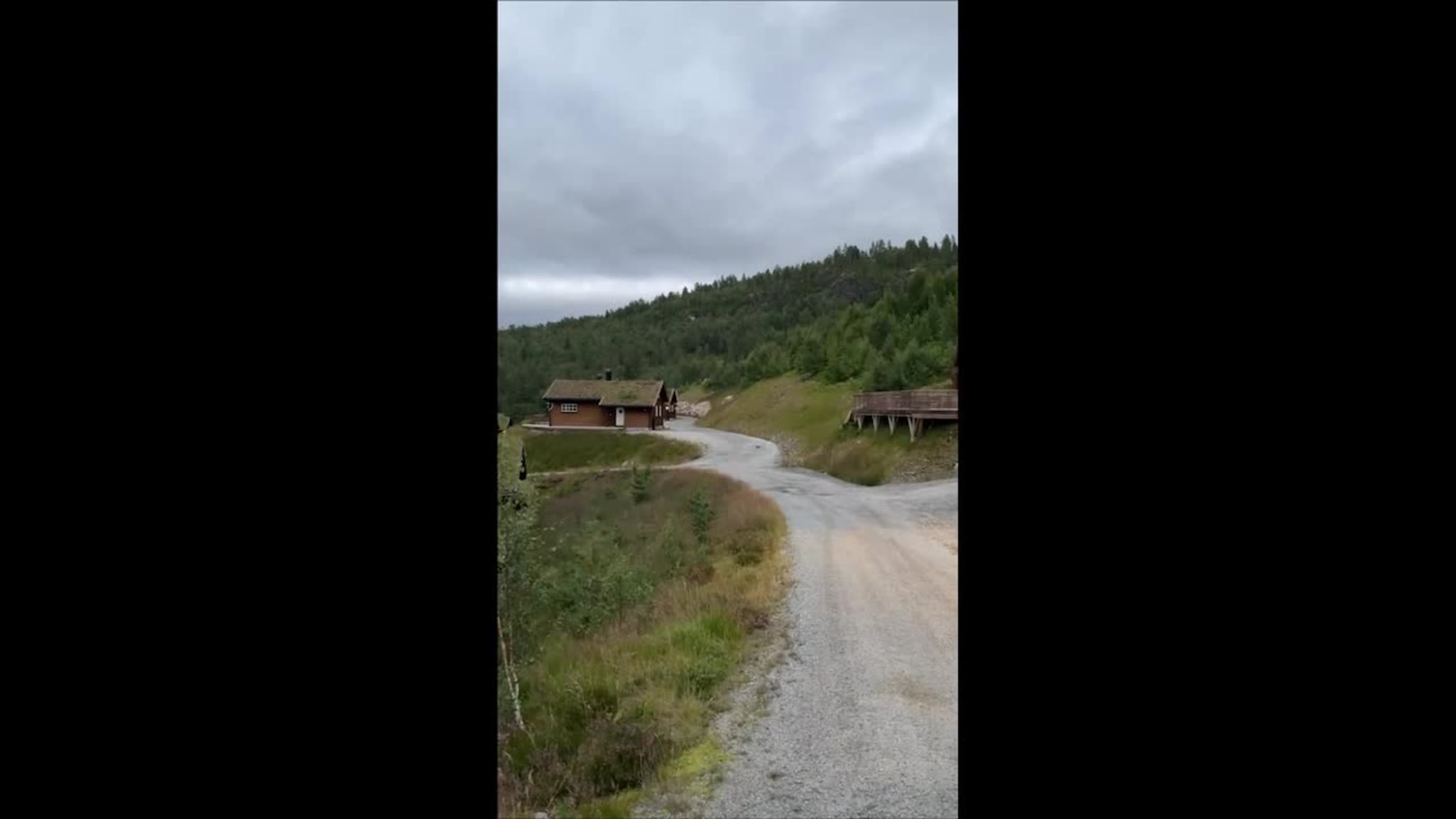 Bjørn i Valle