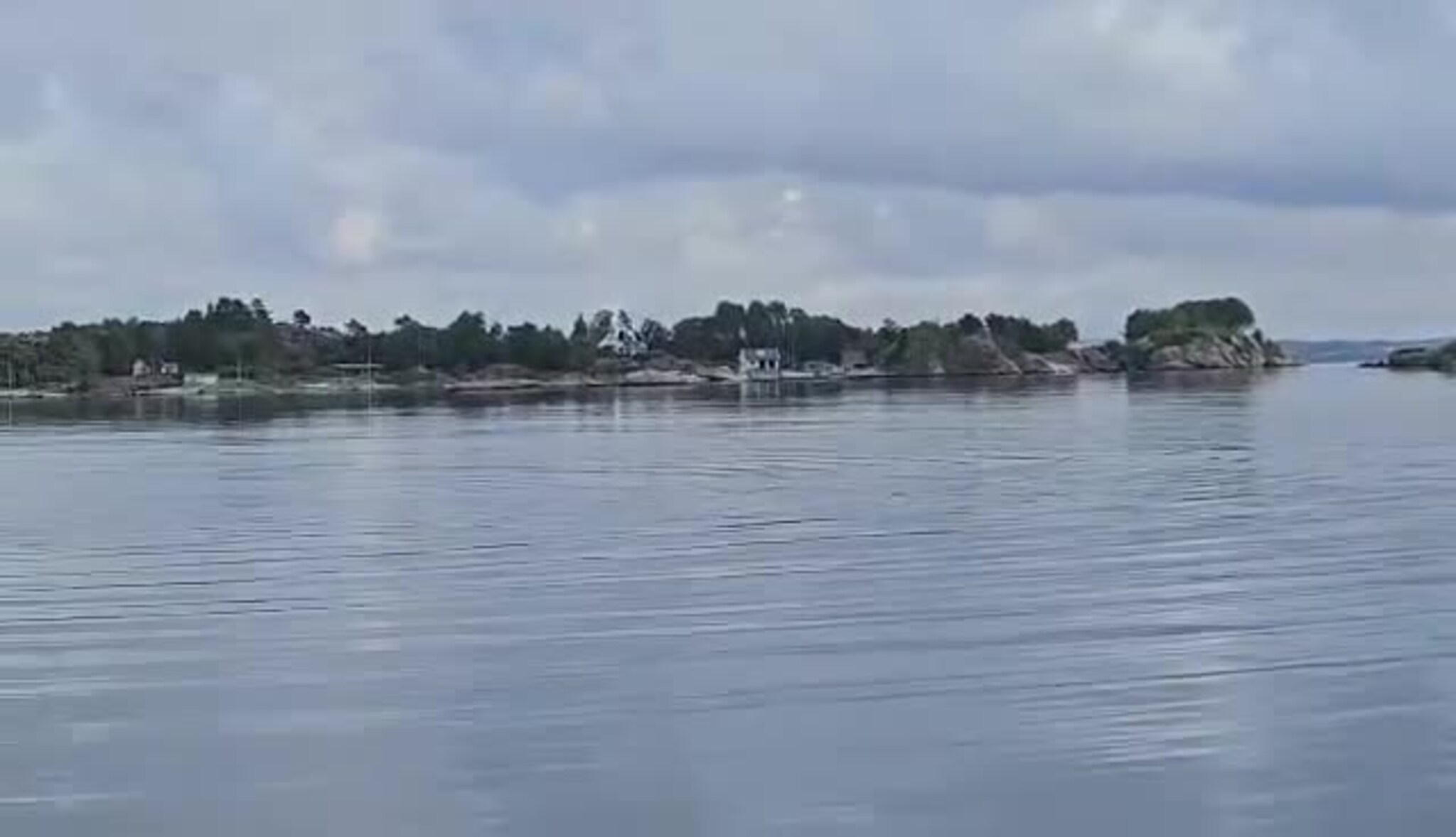 Delfin ved Møvik