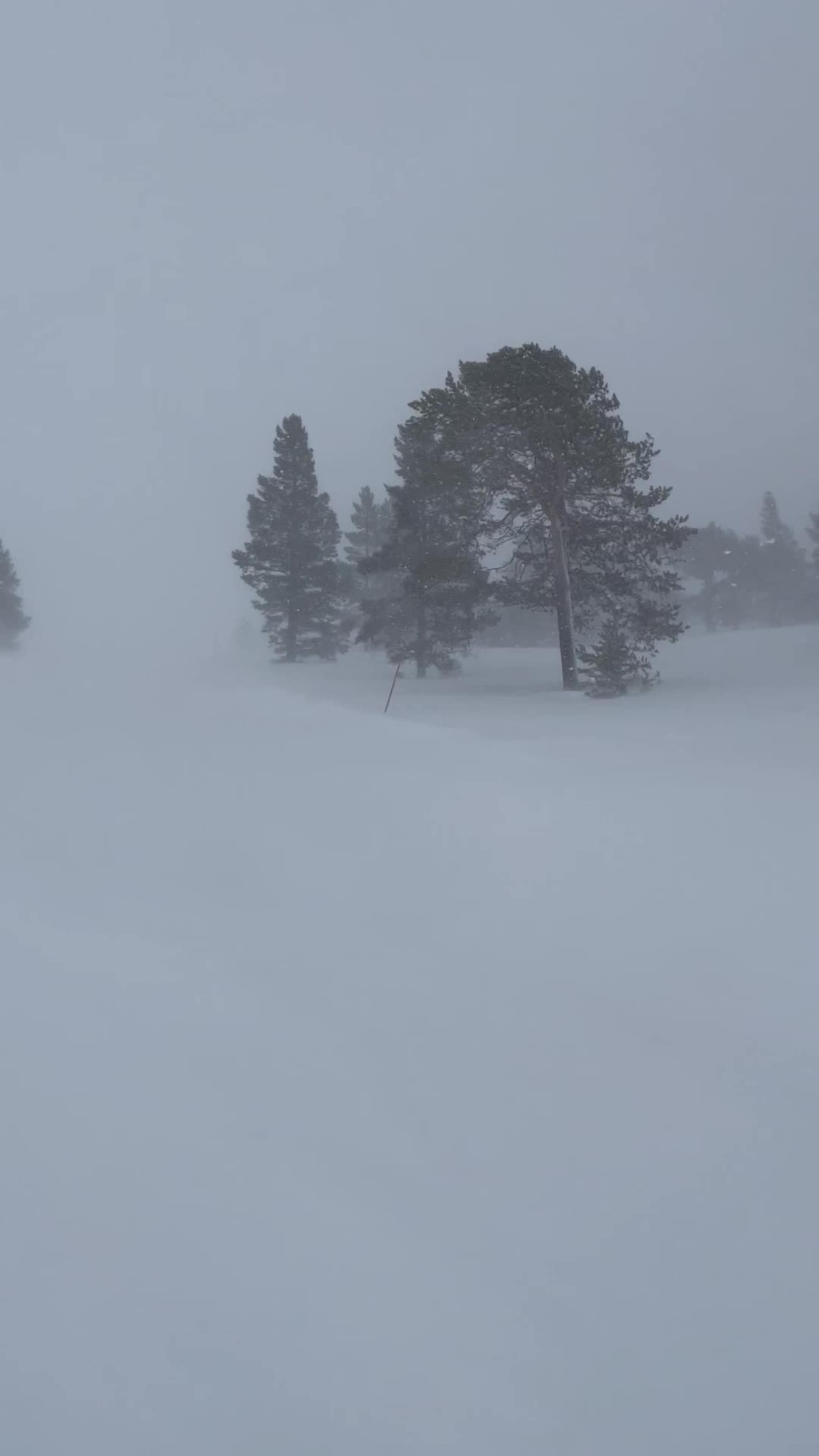 Se video fra Markens på Hovden
