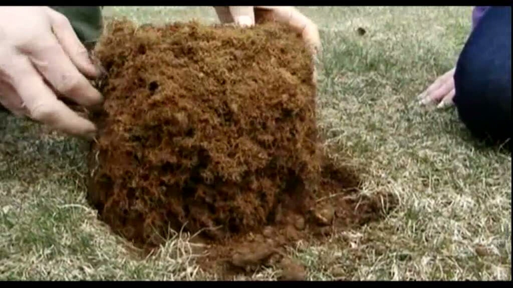 Slik får du en fin gressplen