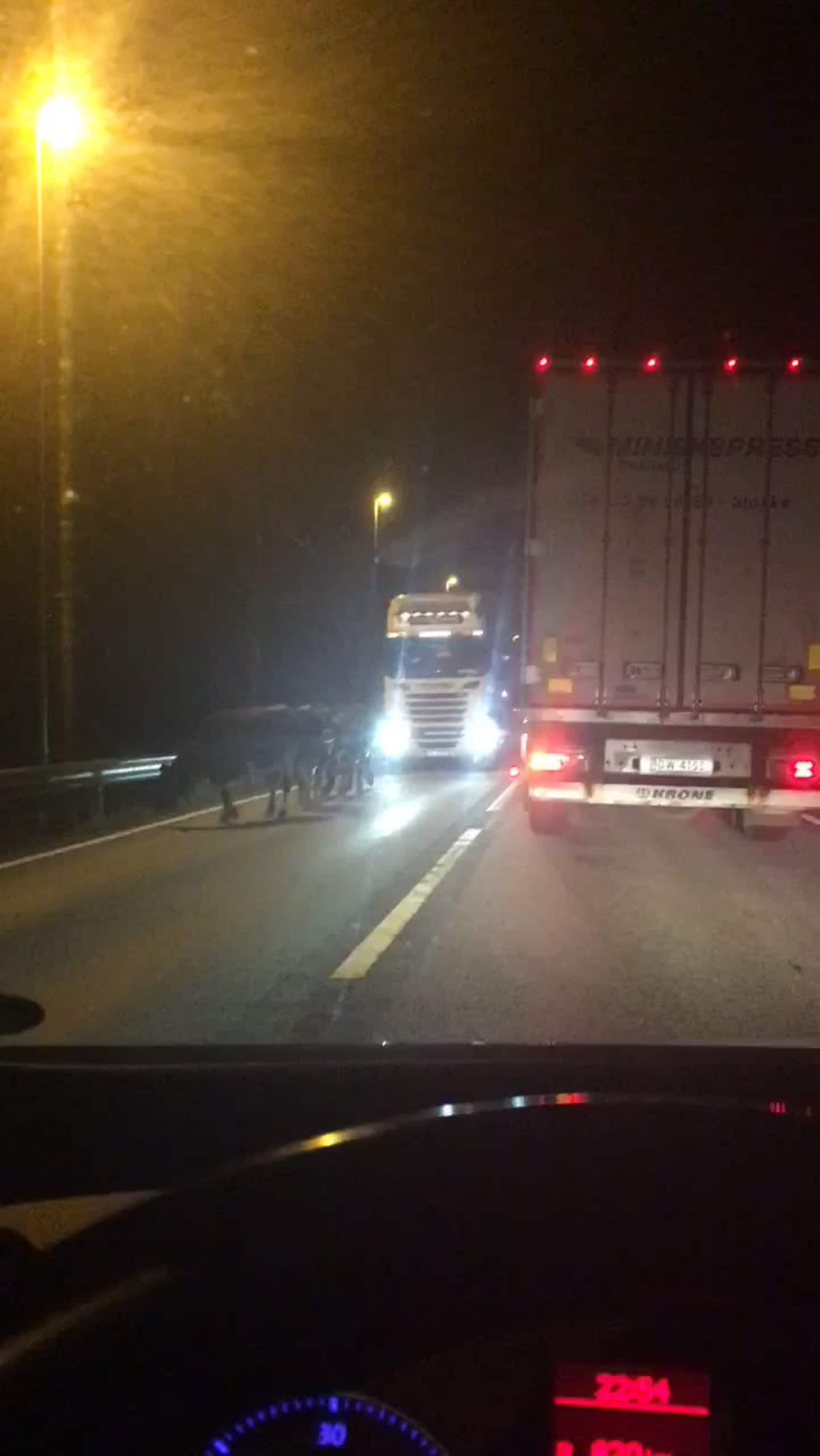 Se kuene stanse trafikken på E 39