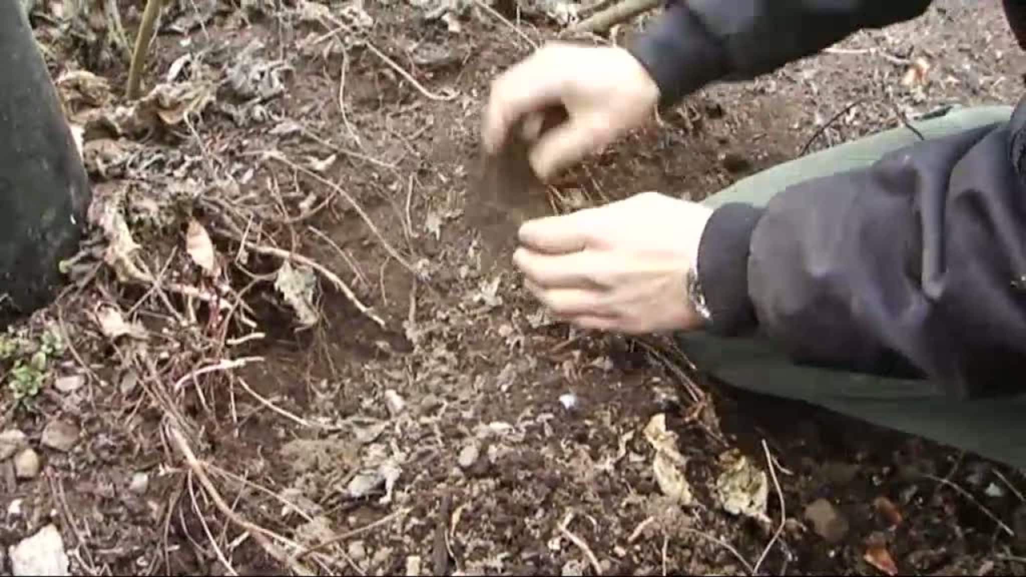 Slik får du perfekt plantejord