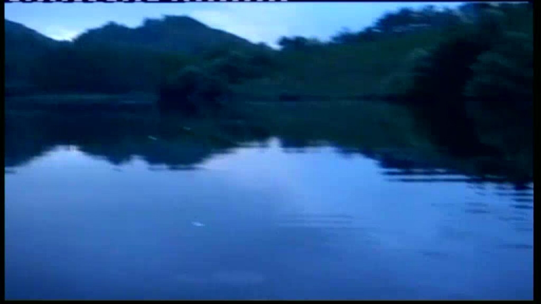 Fra fvntv-arkivet: Laksefiske i 2006