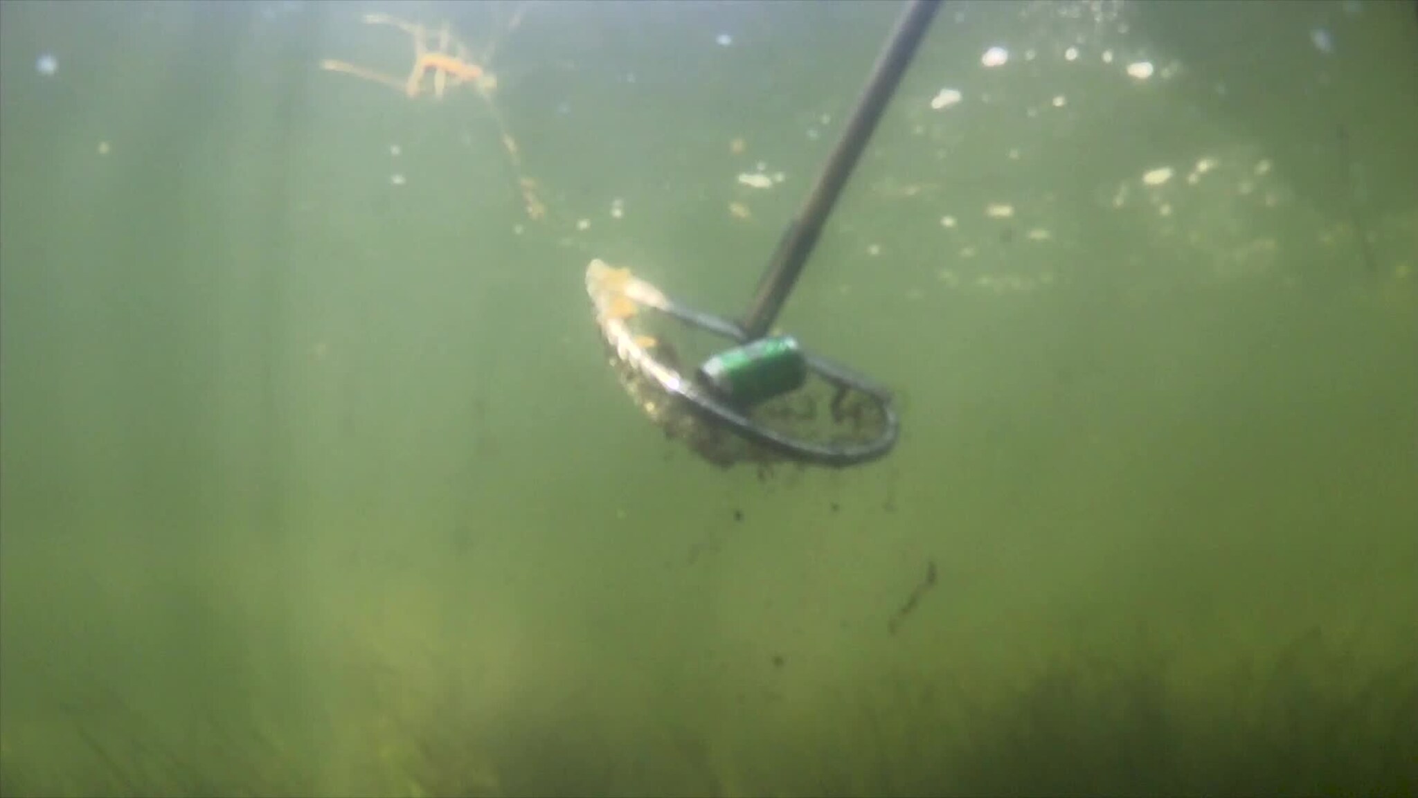 Bli med boksen fra vann til land