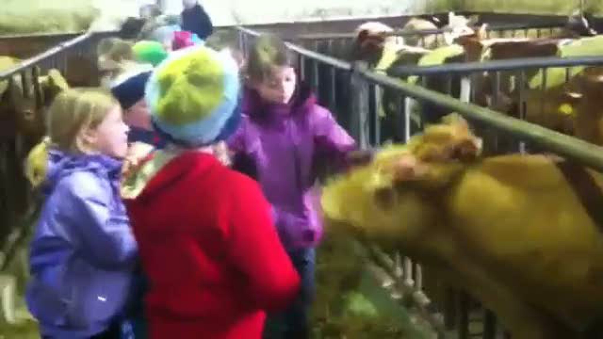 100 barn på gårdsbesøk