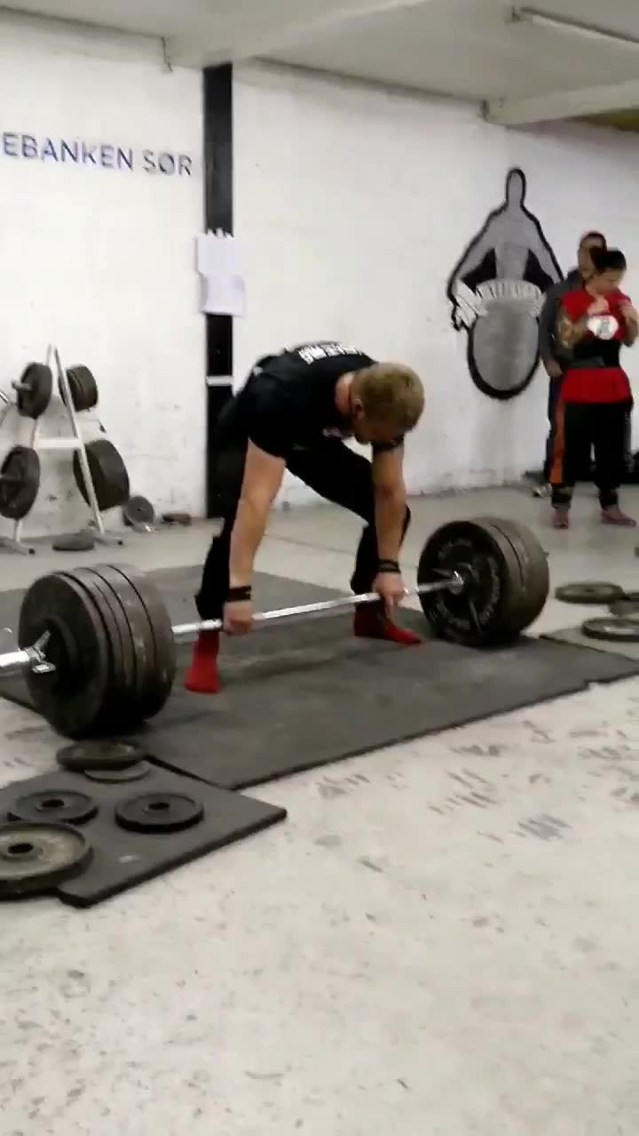 svein Erik Haugland 2