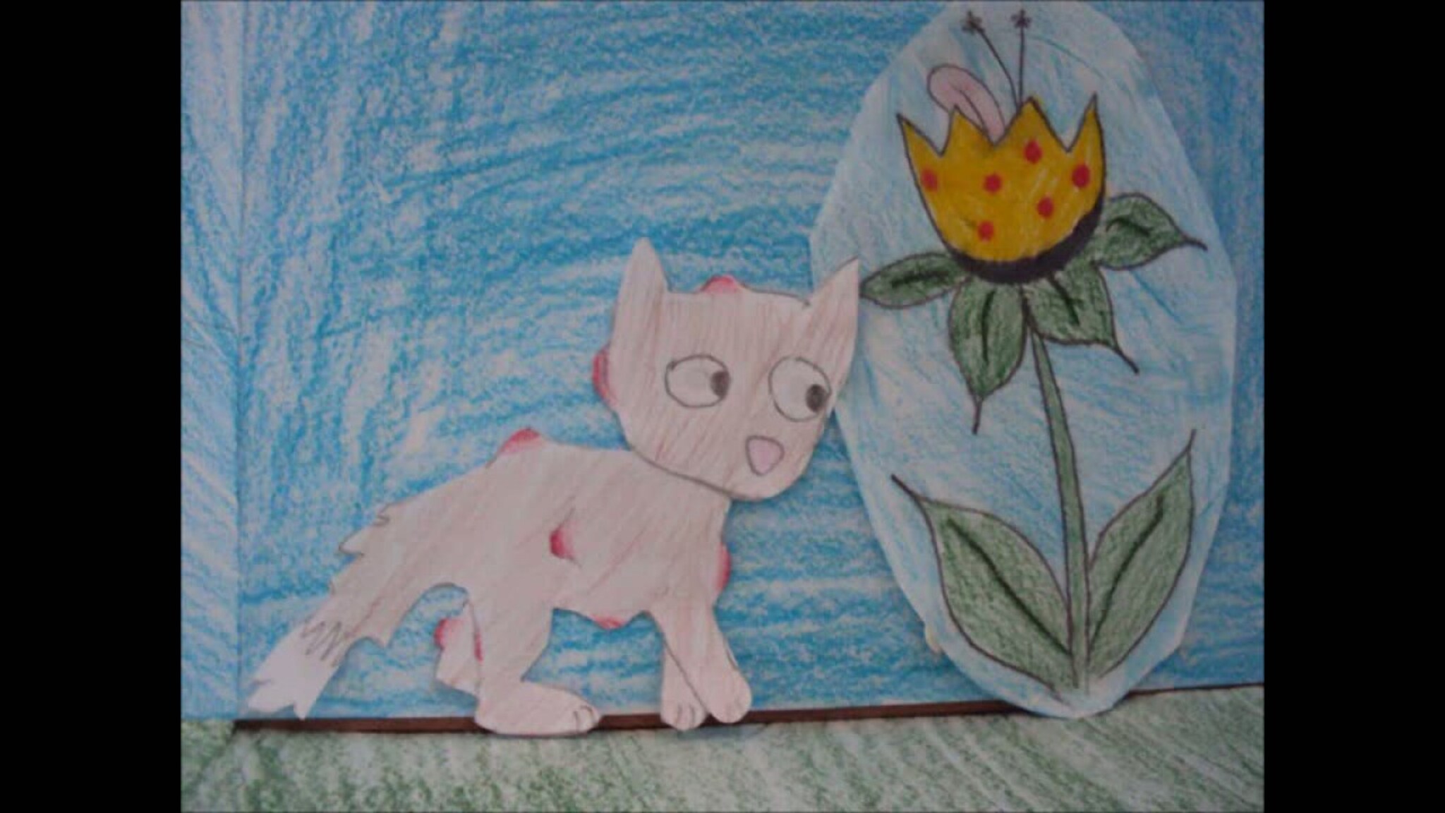 FILM 24: Den uheldige katten