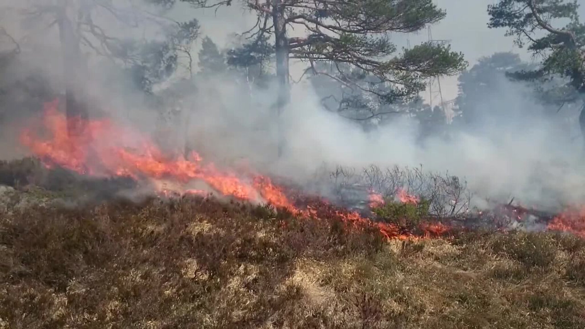 Skogbrannen sprer seg
