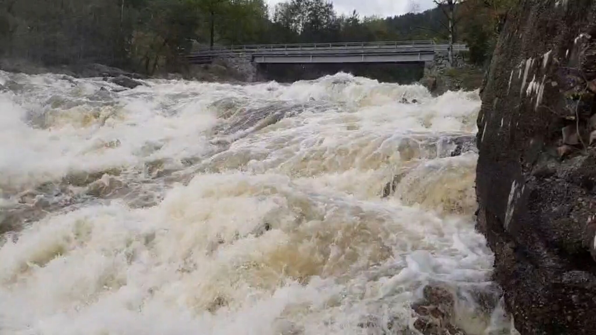 Se laksen på overflaten i Melhusfossen