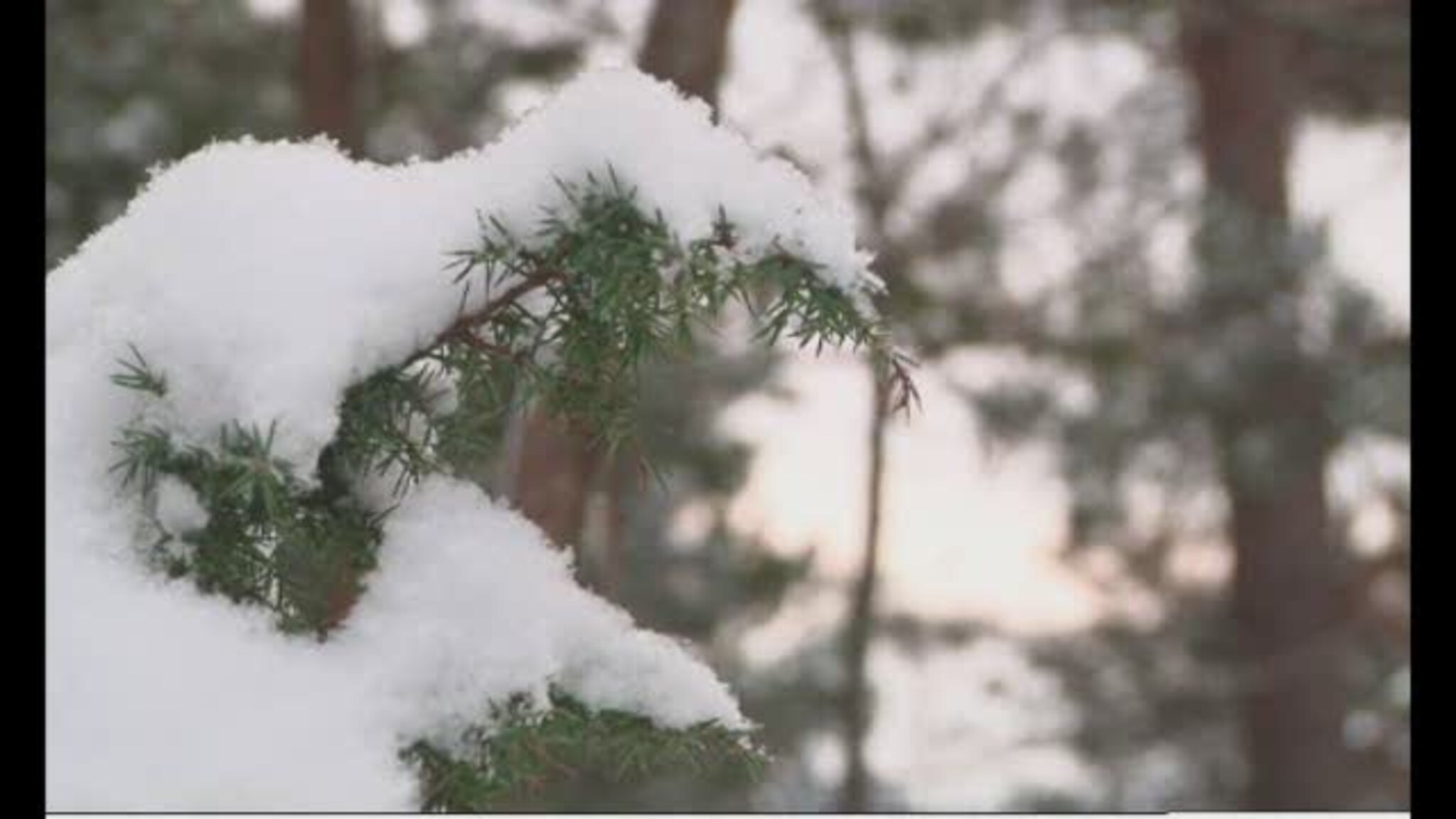 Opplev julestemningen i Jegersberg