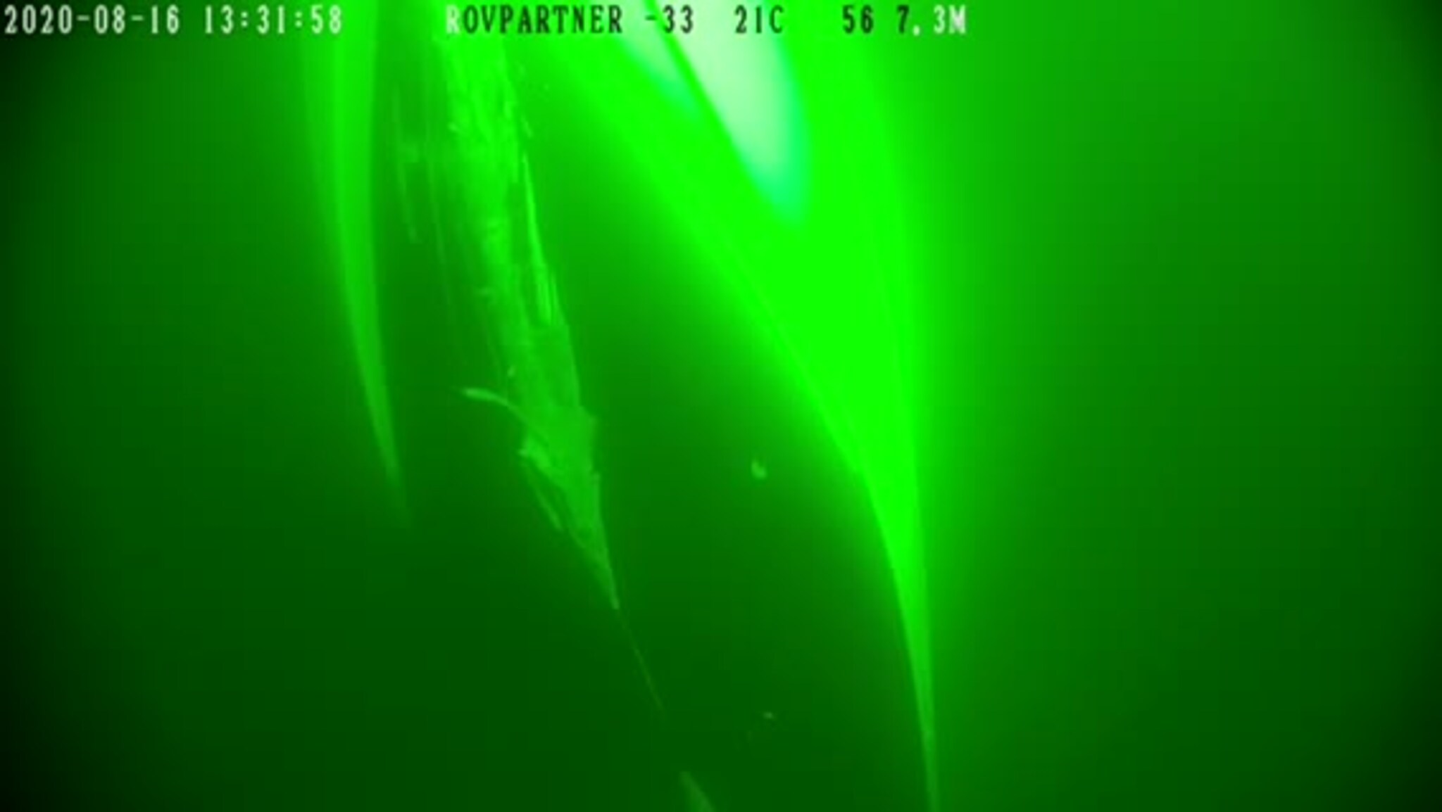 B9016280-6F39-421B-AD94-A19AA7D74954.MOV
