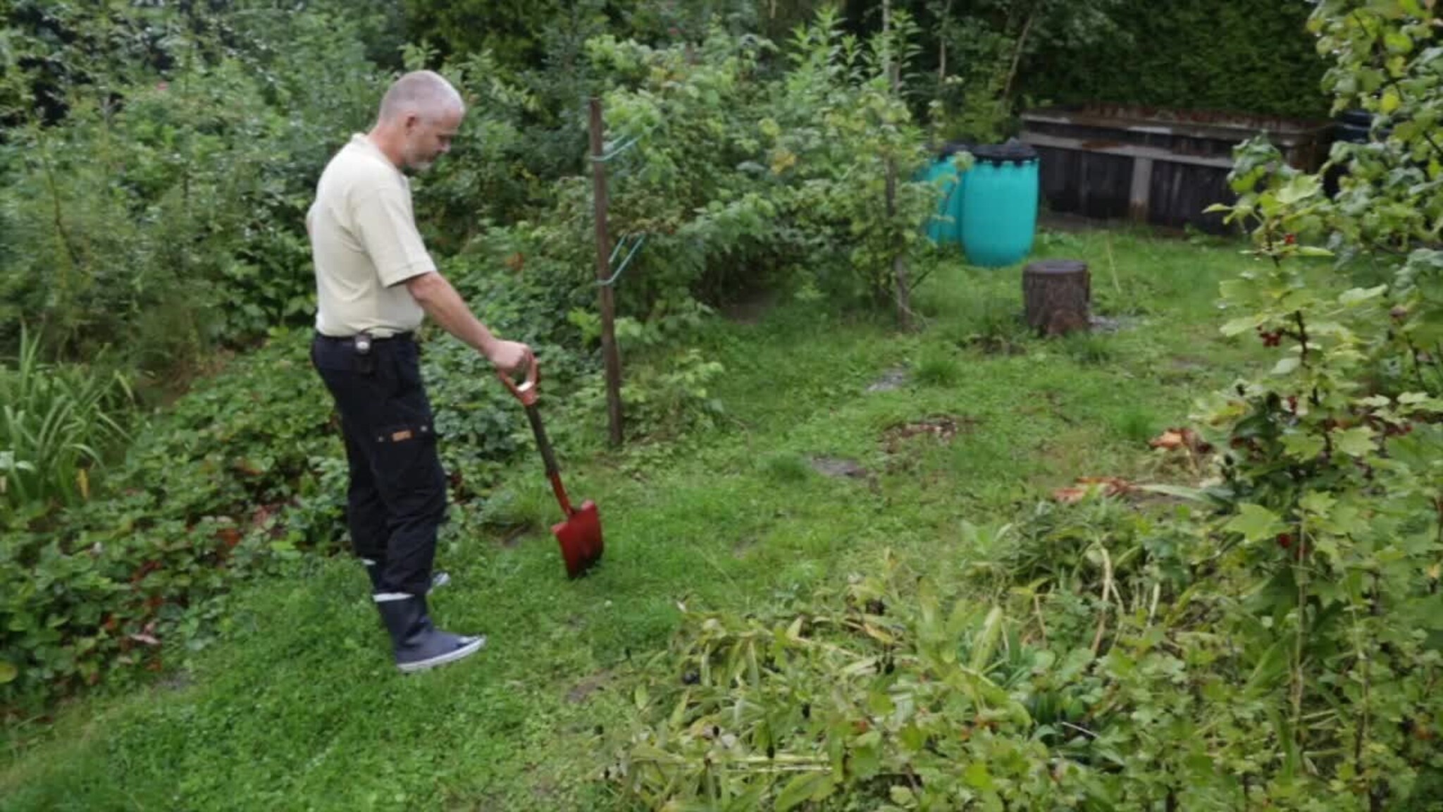 Gjør unna vårens snegleproblem nå
