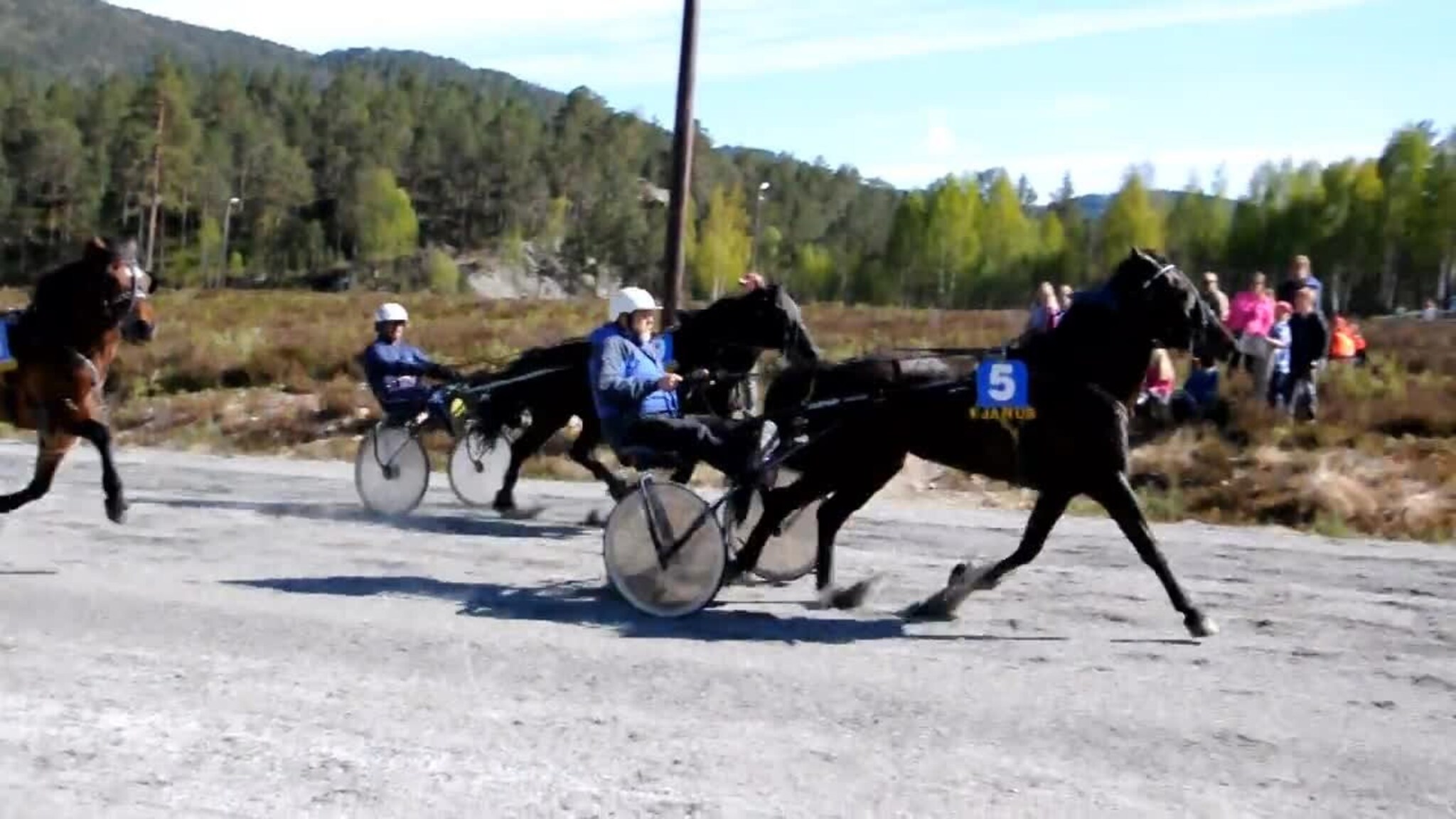 Setesdal tråvlags jubileumskjøring