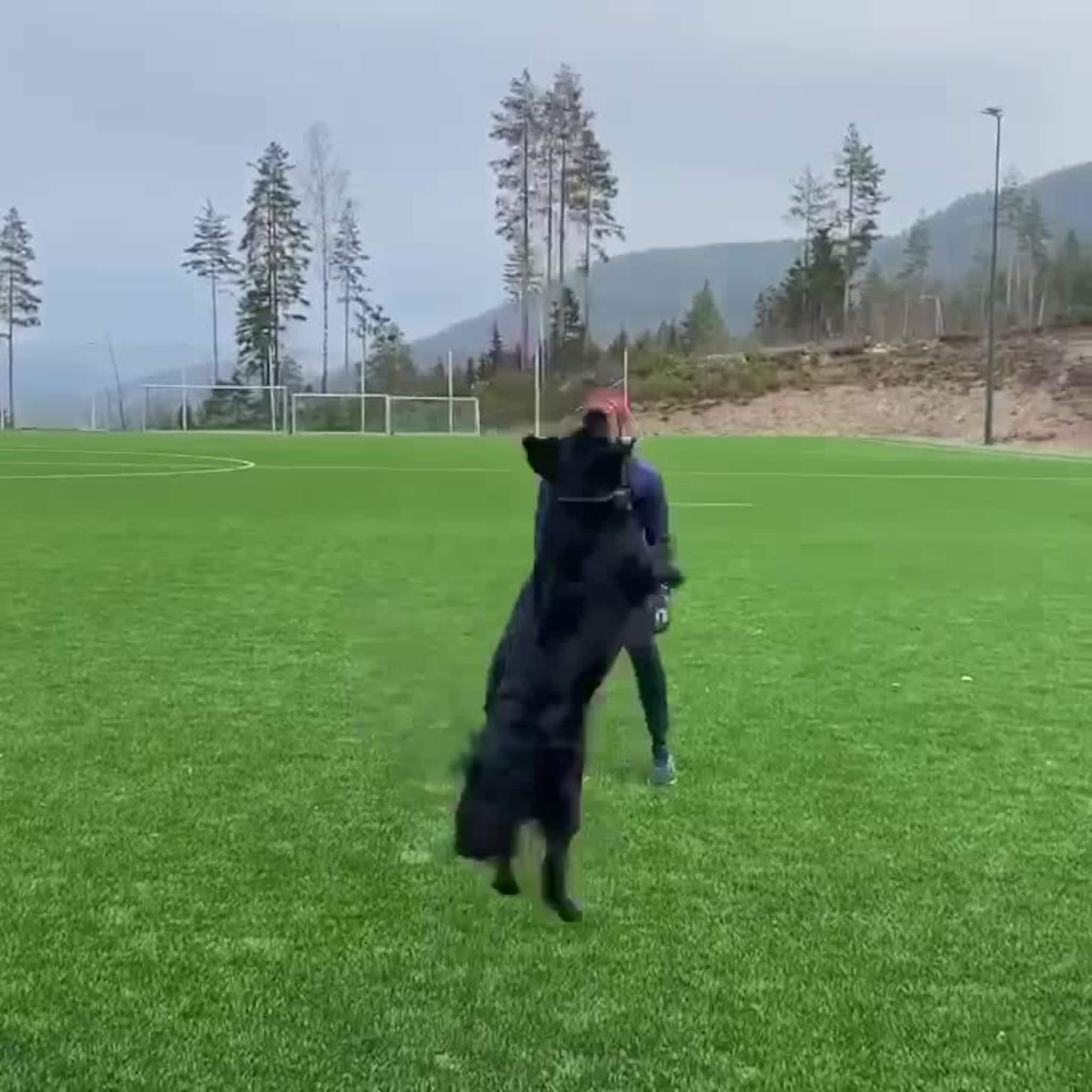 Mathias Berntsen trener sammen med hunden