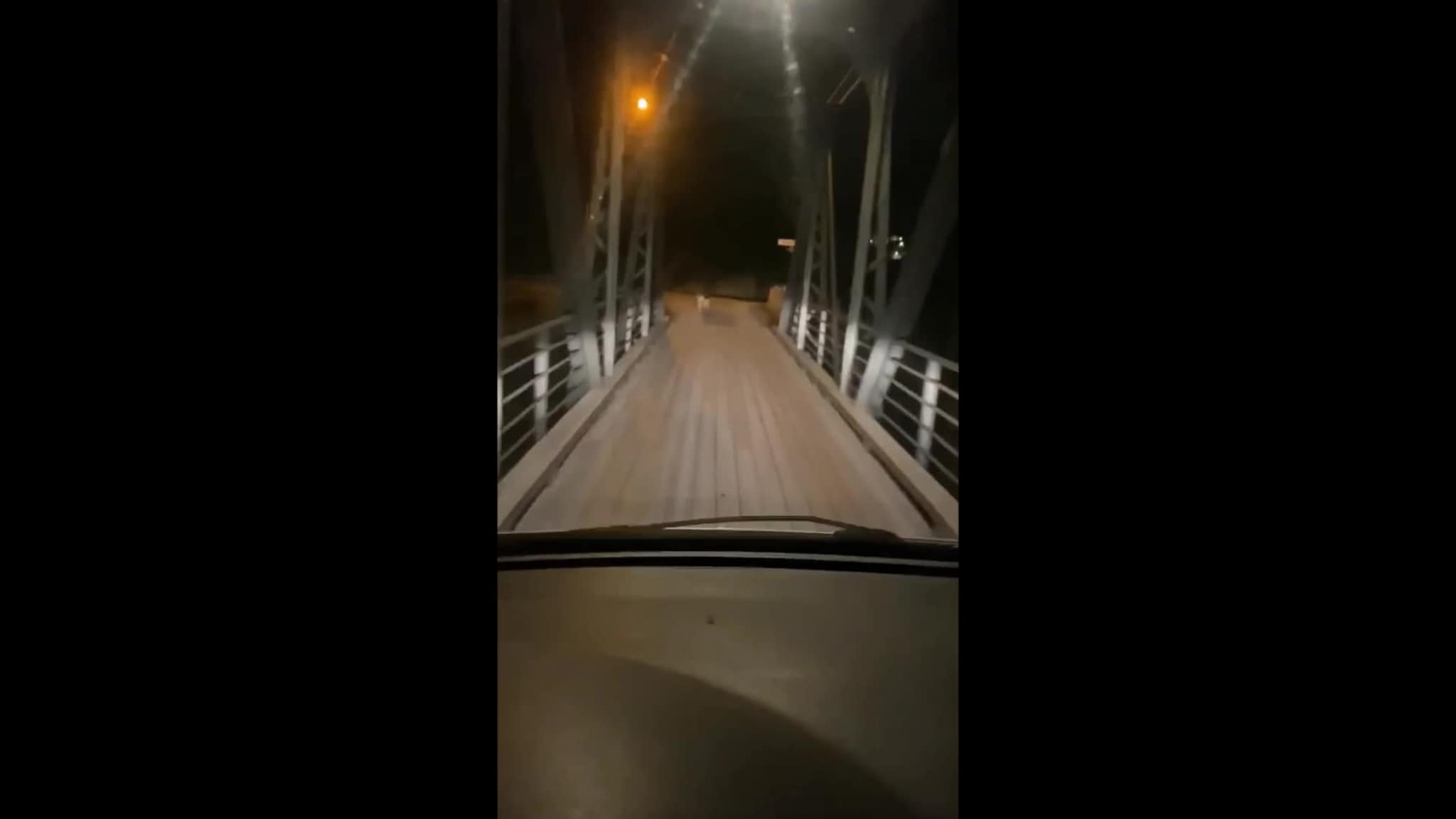Ulv i Øyslebø