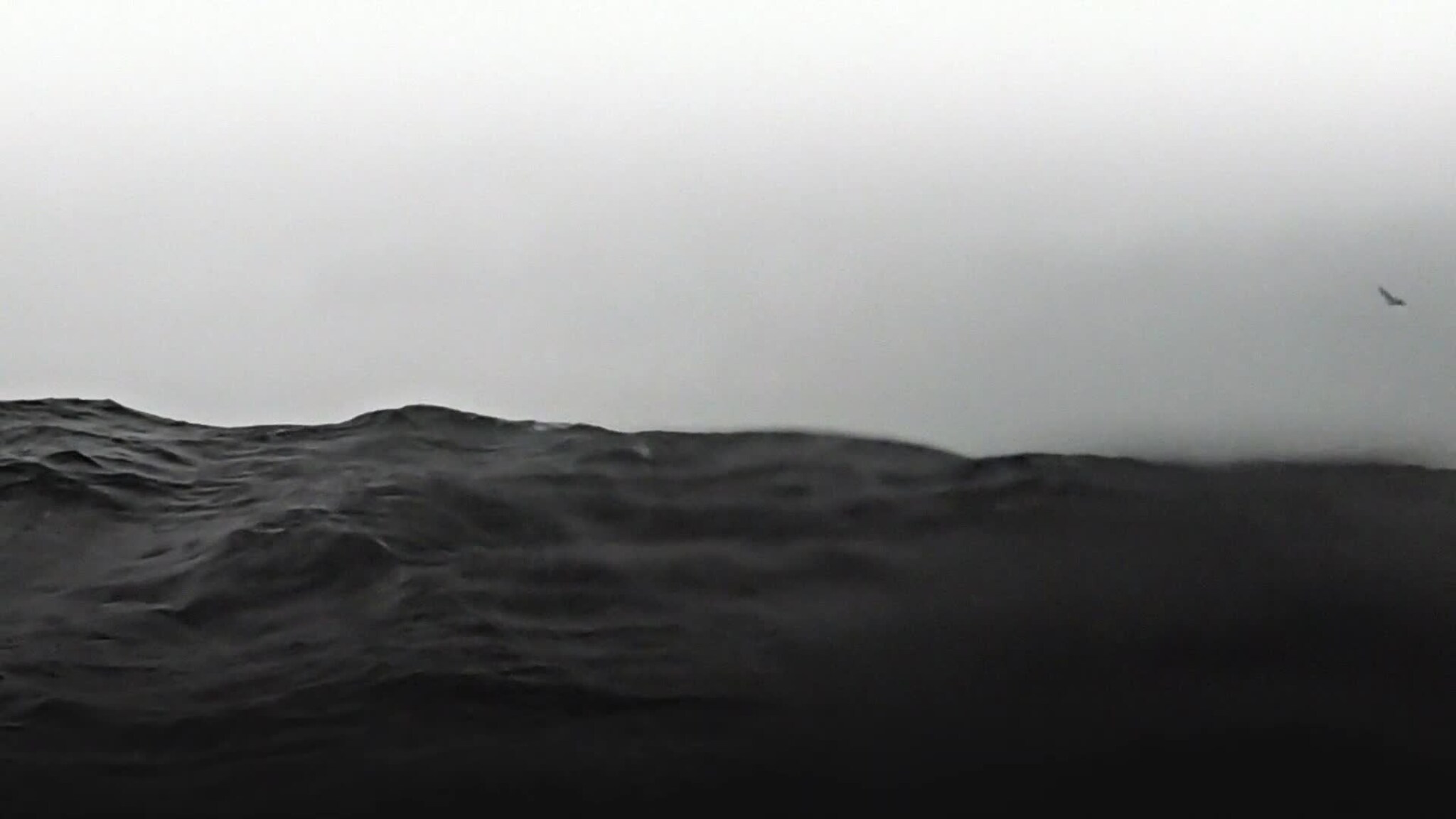 artsy bølge-loop straight