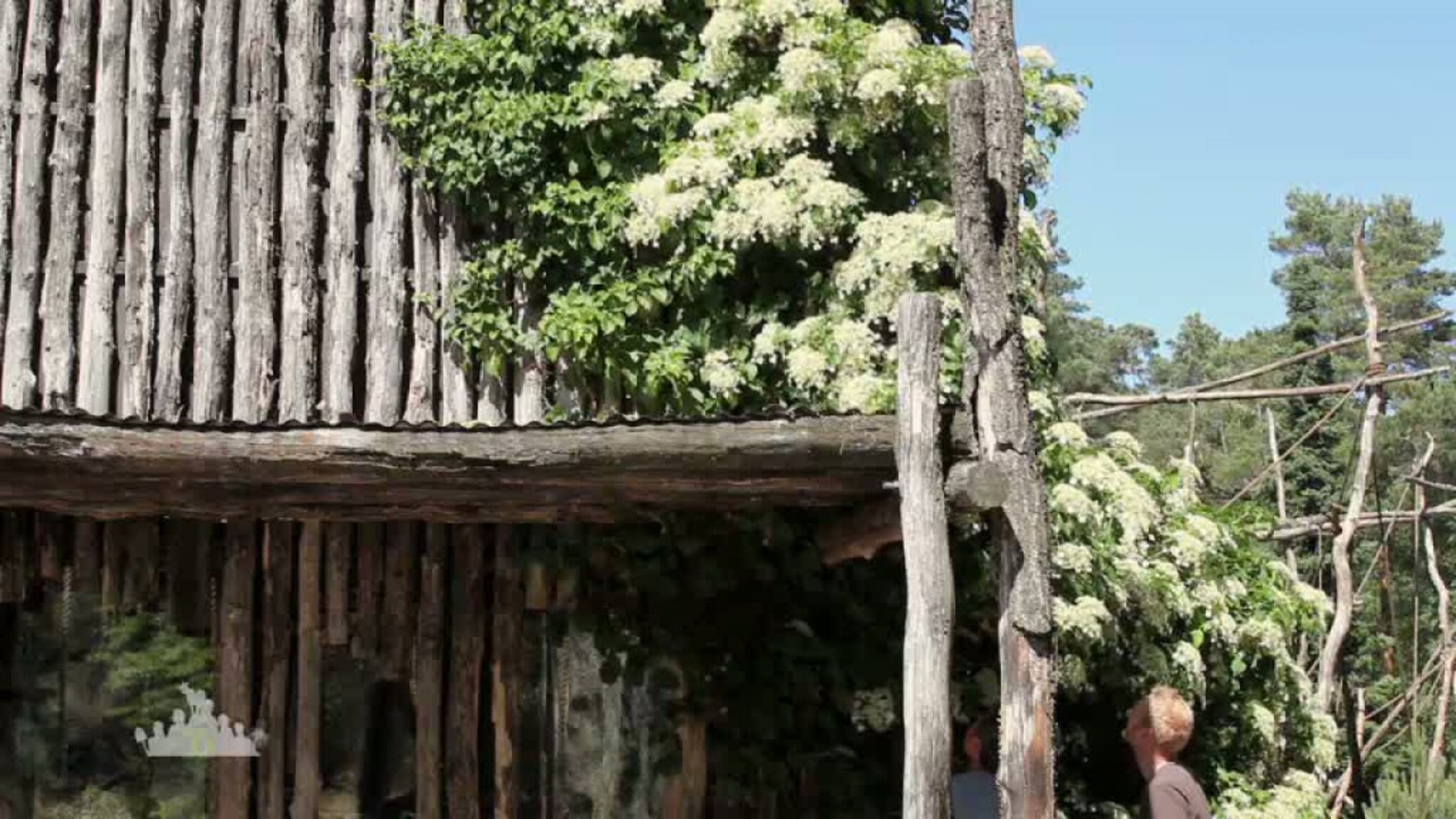 Rømming i Dyreparken