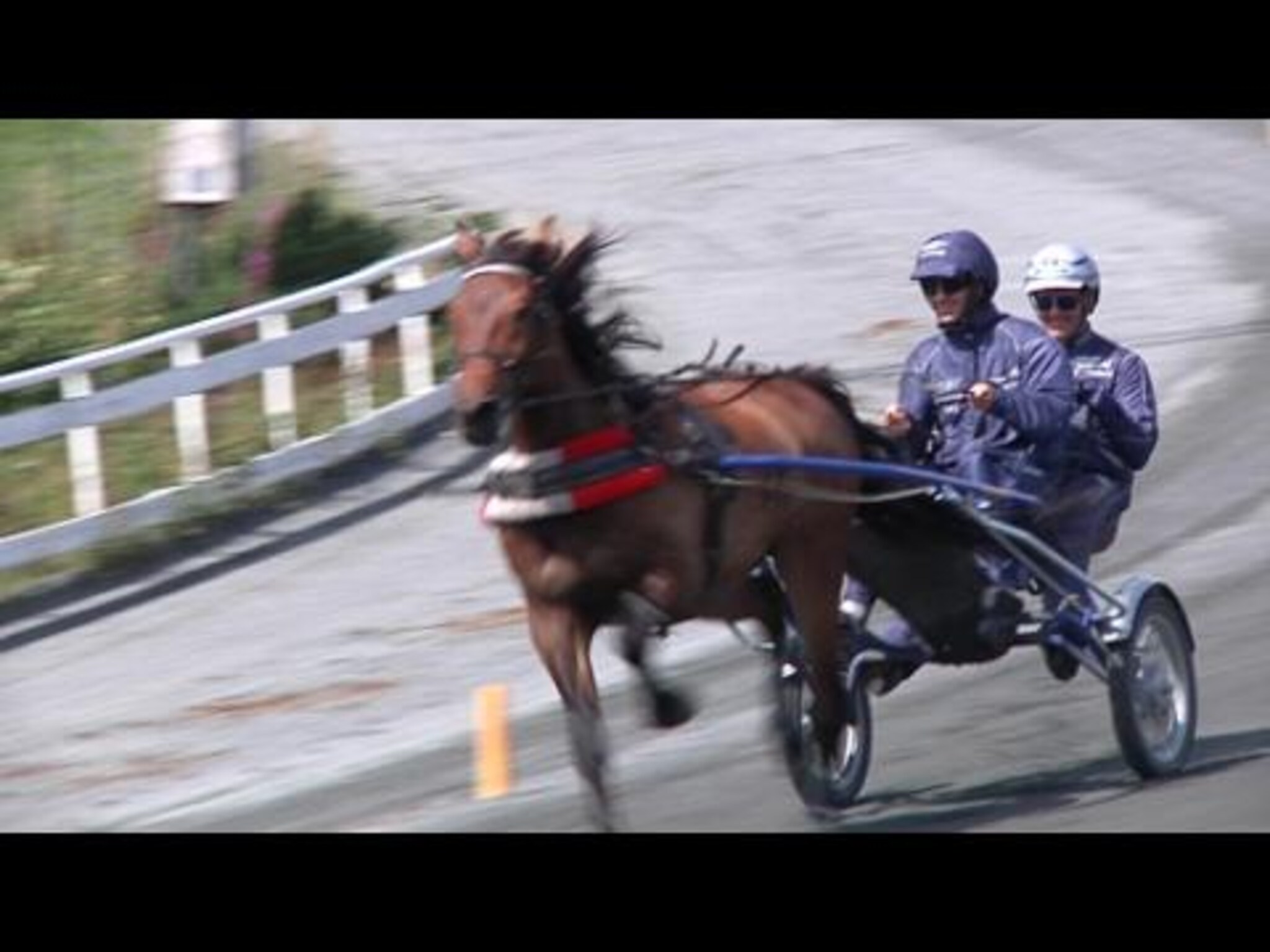 Her kusker vår reporter