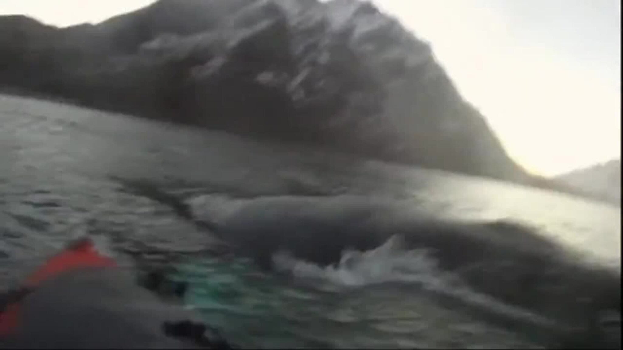 Her padler han over en knølhval