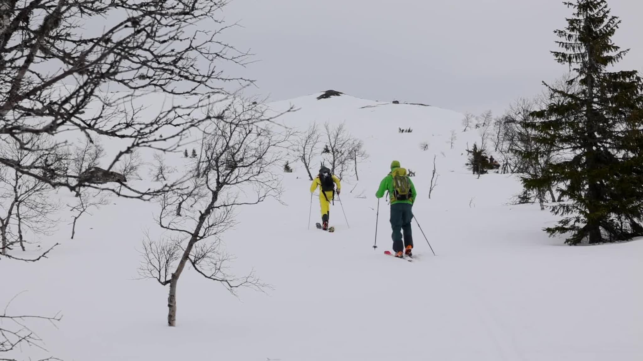 Setesdalalperne 2