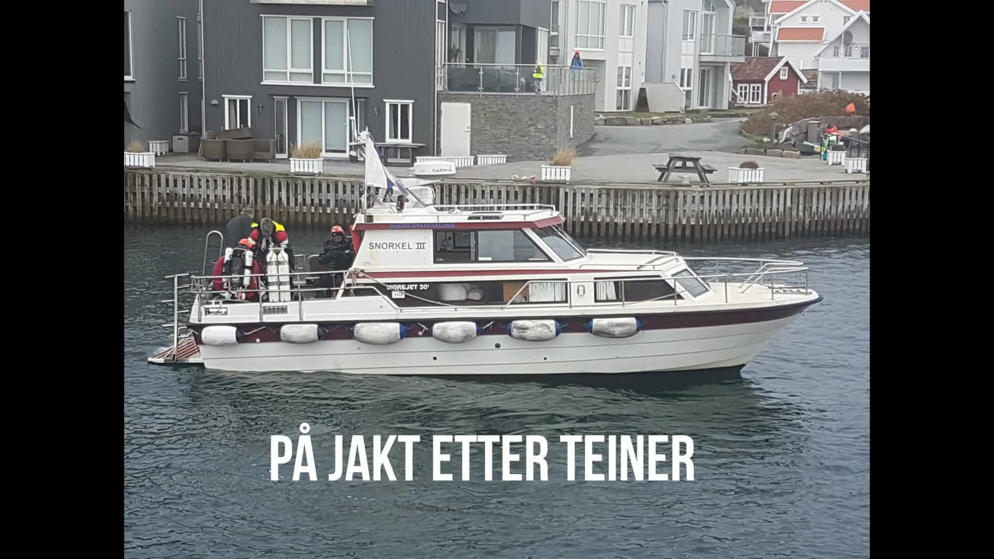 Søgne Dykkerklubb på jakt etter teiner