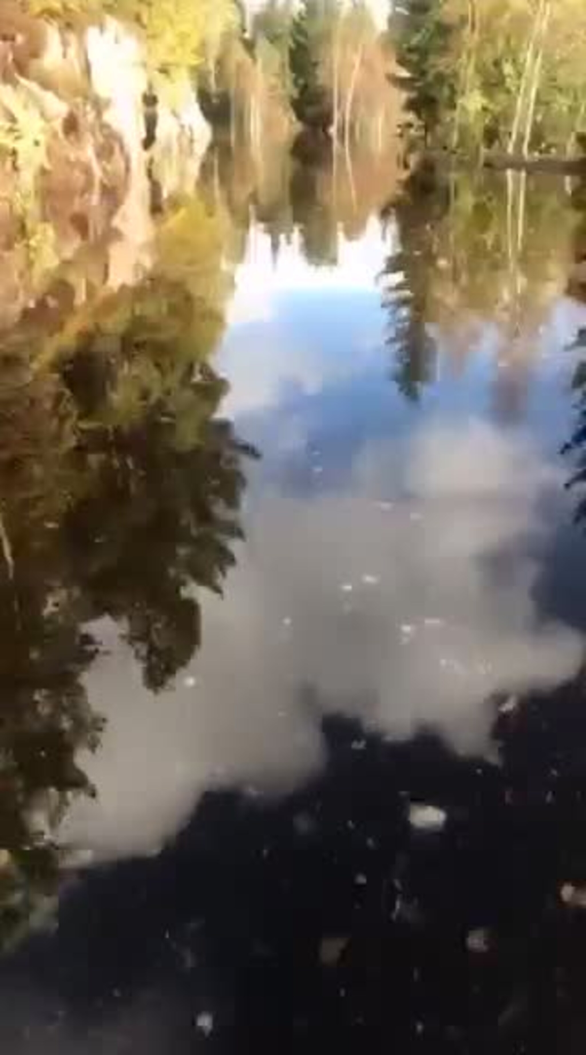 video-1506860500