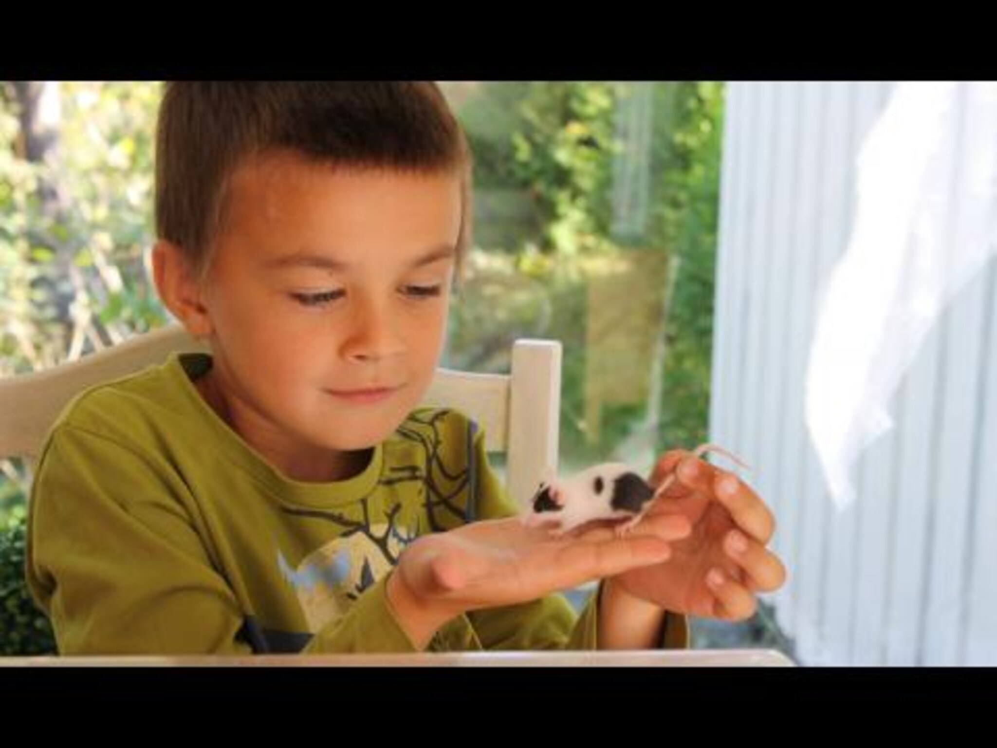 15 musunger i samme kull