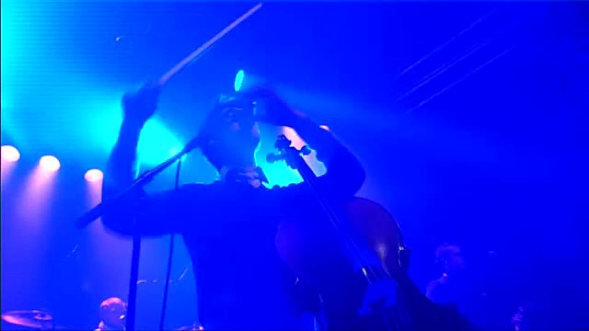 Dugnaden 2011: Honningbarna