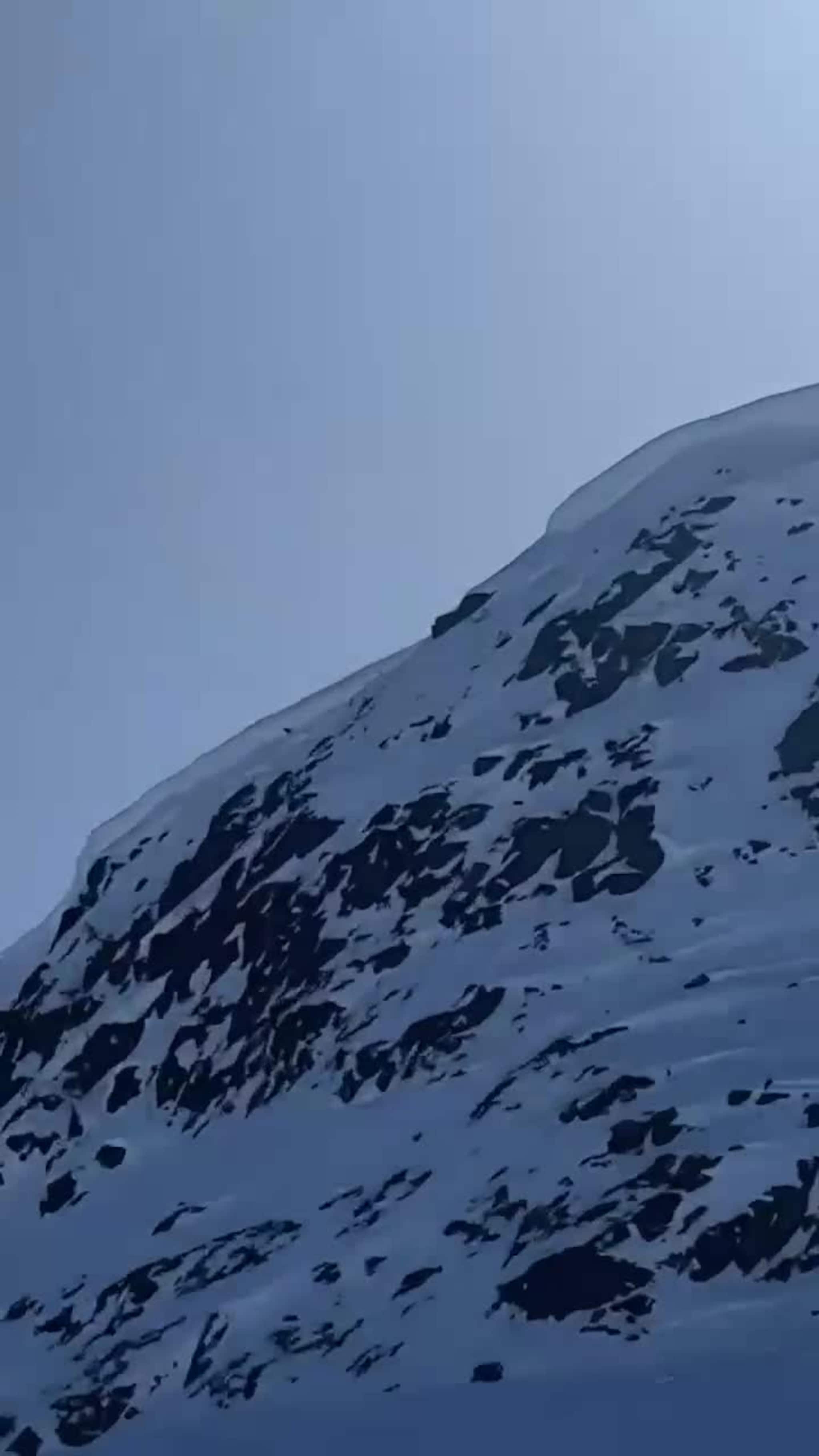 Her sitter hunden fast på fjellhylla