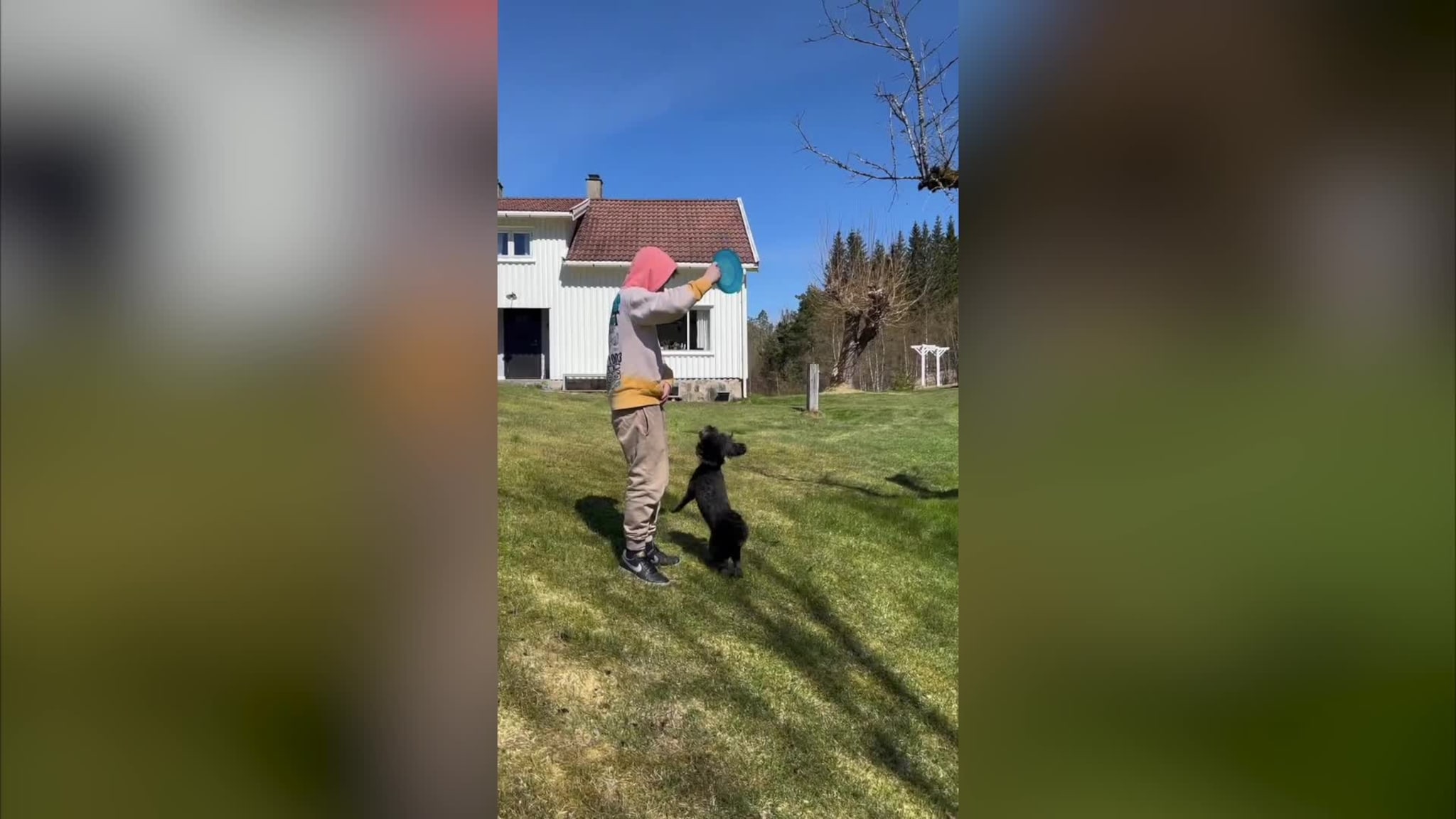 Frisbee