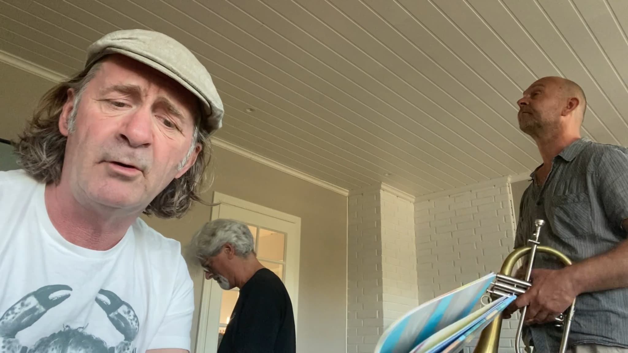 Andre Vaaler: «Strandkrabba»