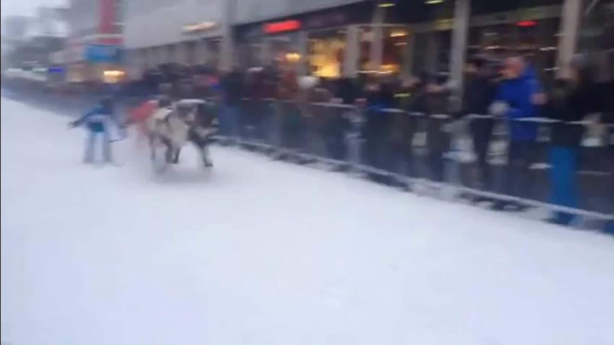 Sjekk hvem som vant NM i reinkappkjøring