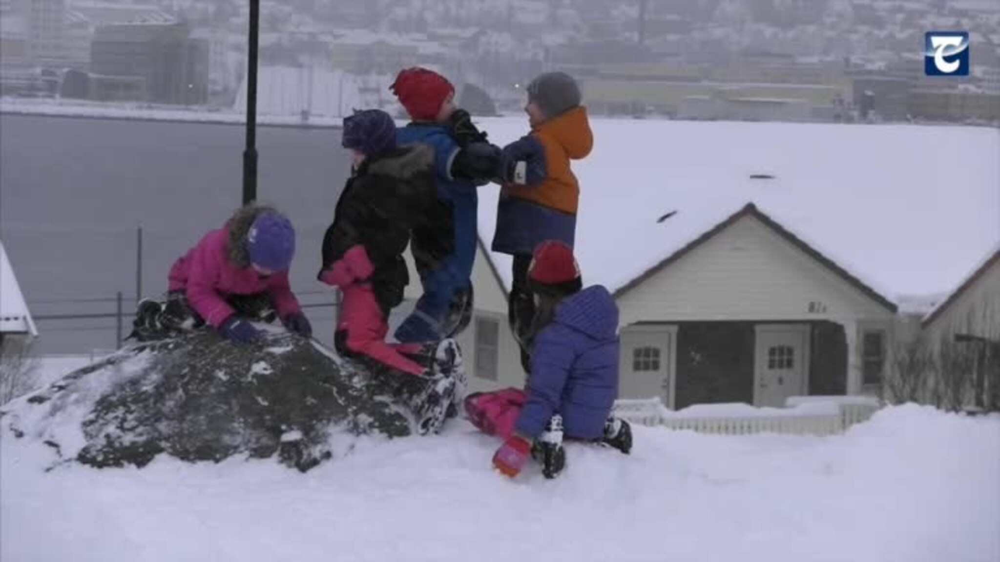 Stor boltreplass på Reinen og Berg.